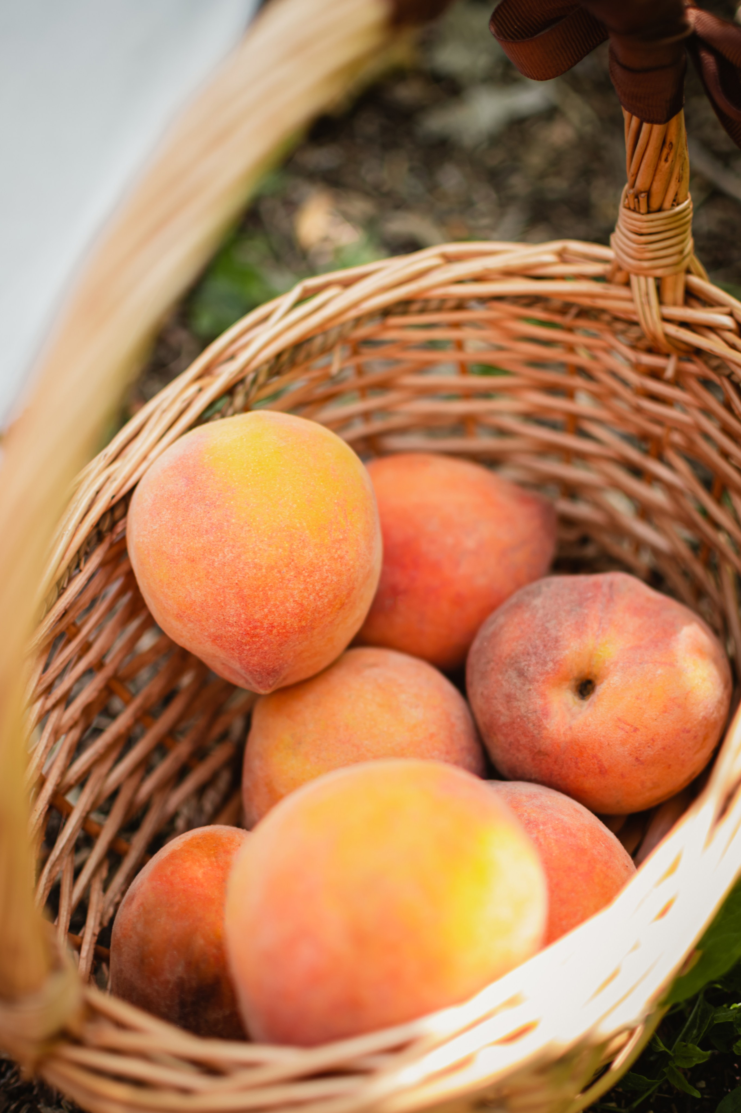 корзинка с фруктами. корзинка с персиками