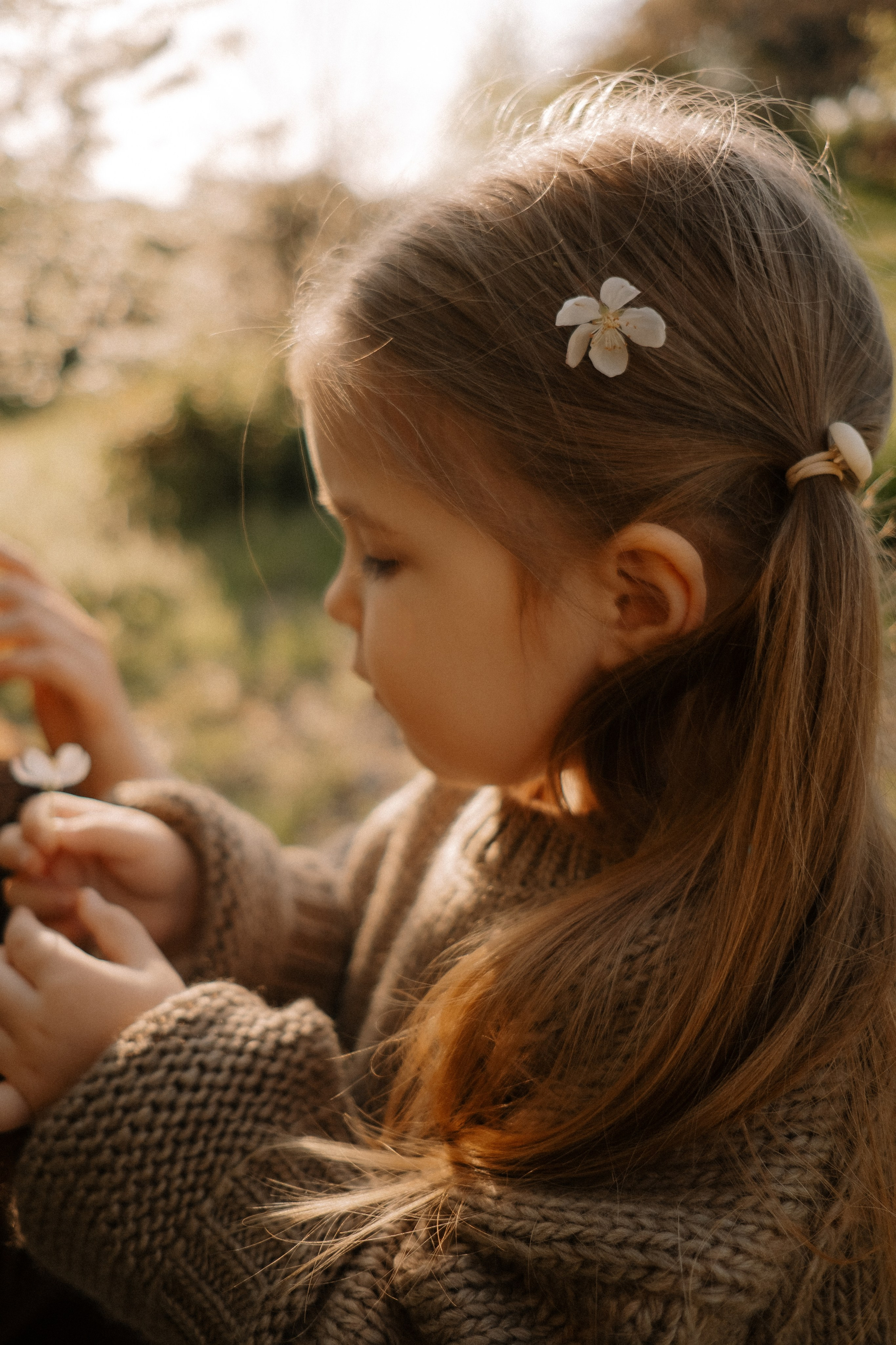 Семейные фотосессии в Сочи, Сириус и на Красной поляне. Семейный, свадебный фотограф Сочи, Адлер, Красная поляна