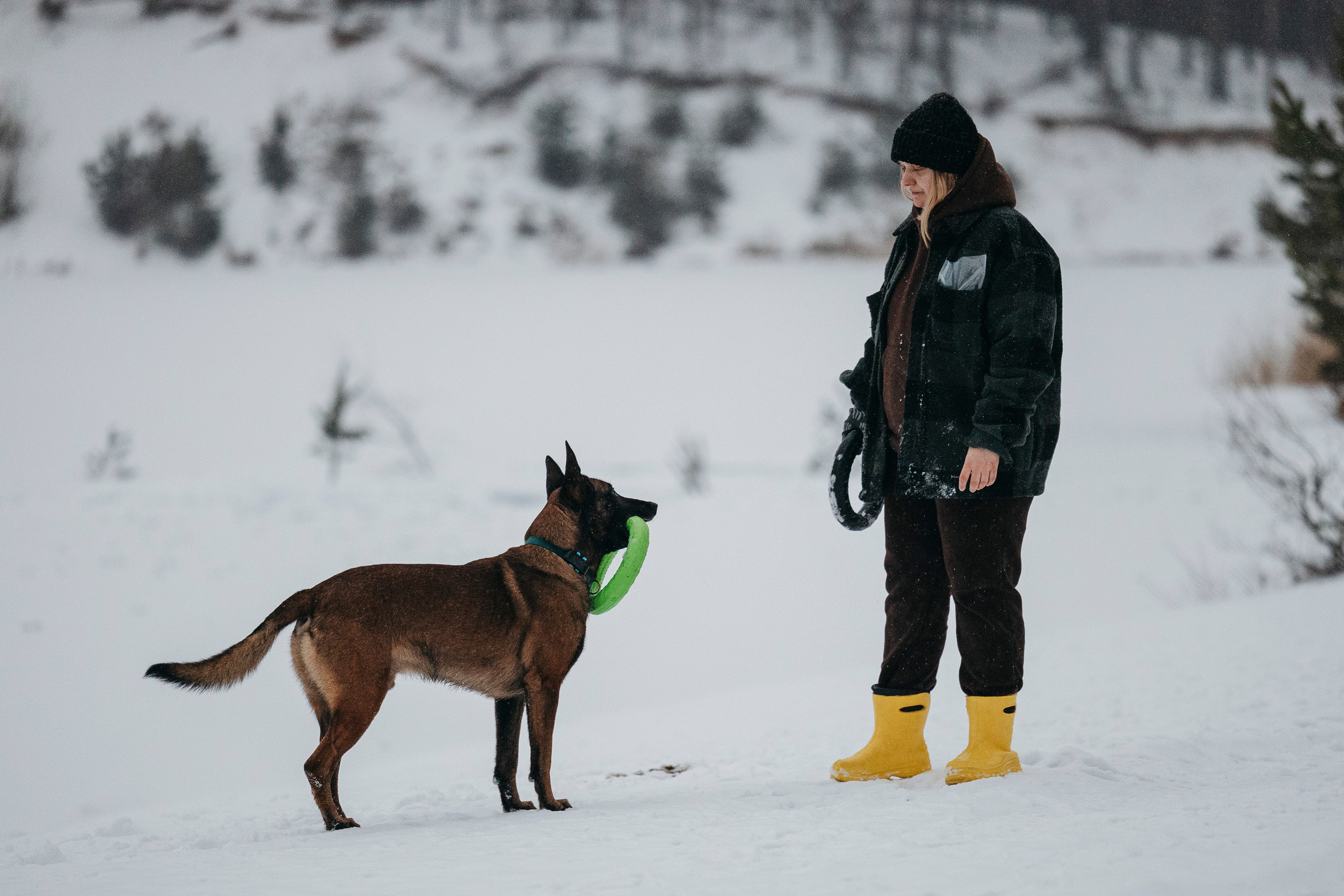 Карьер. Фотограф-анималист Анна Маринич