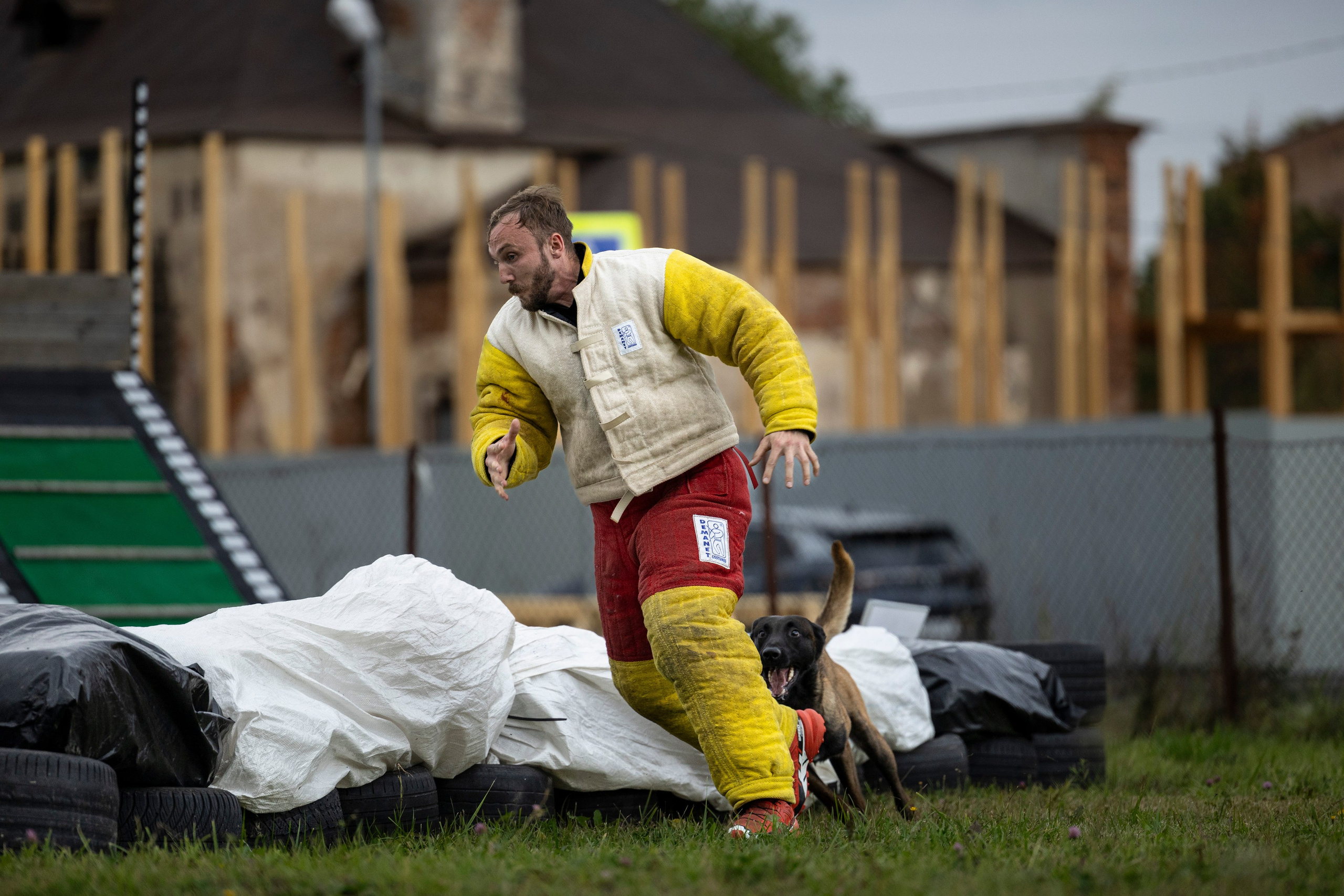 Испытания по Мондьорингу г. Пушкин. Фотограф-анималист Анна Маринич