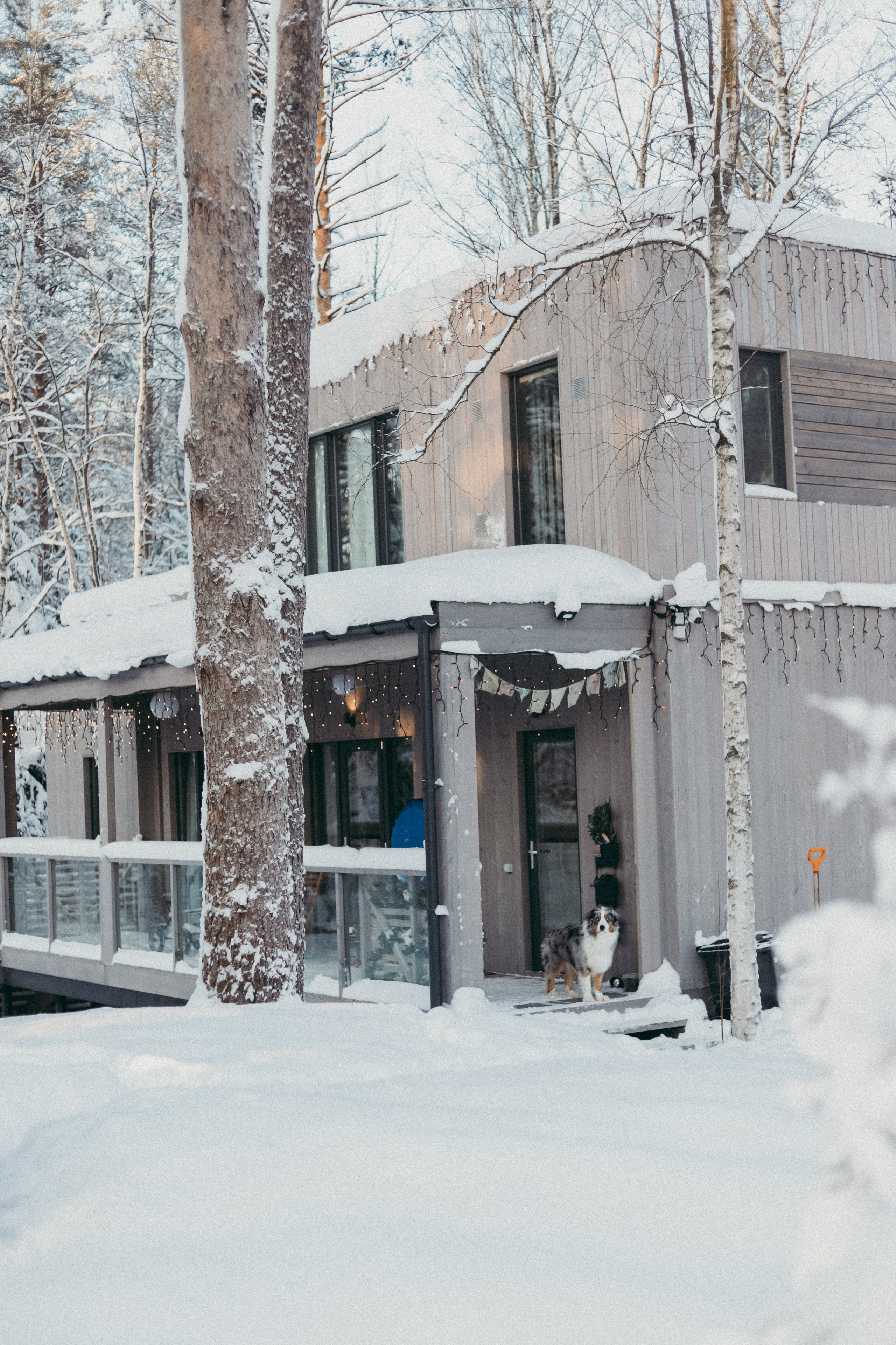 Инна и Вера. Фотограф Москва и Санкт-Петербург