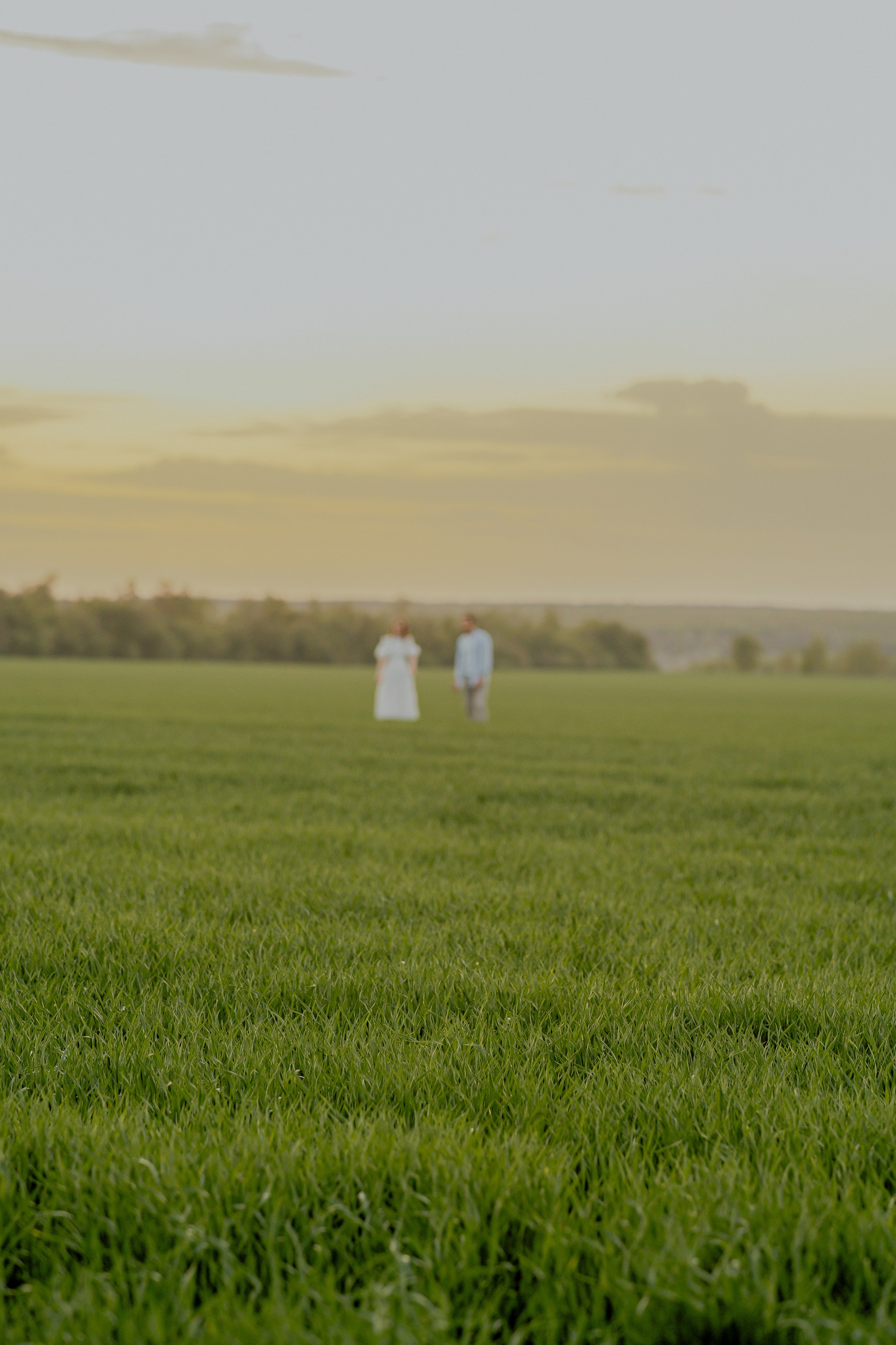 Поле. Фотограф Мария Зайчик