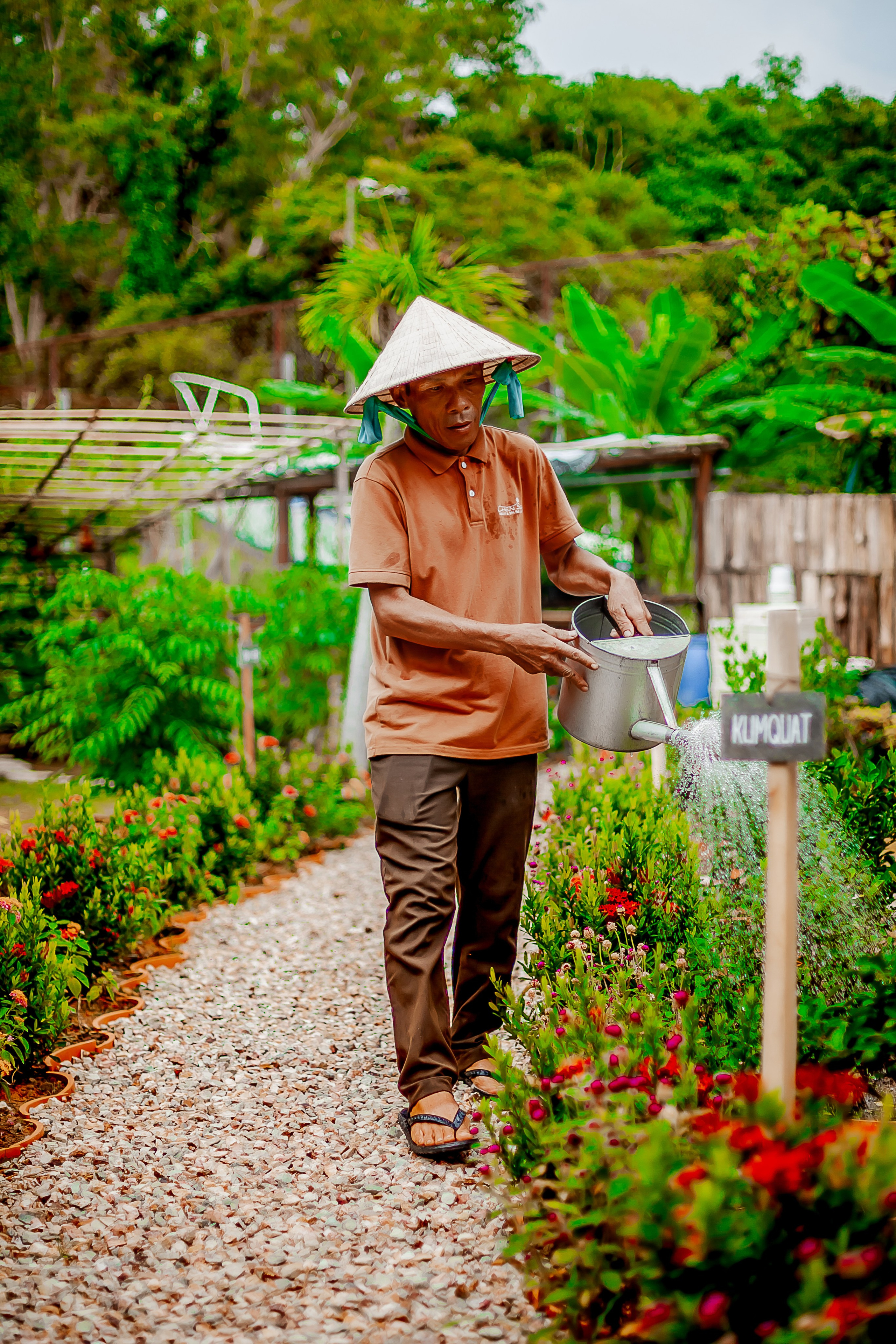 Репортажный фотограф Ялта. Репортажный фотограф Ялта