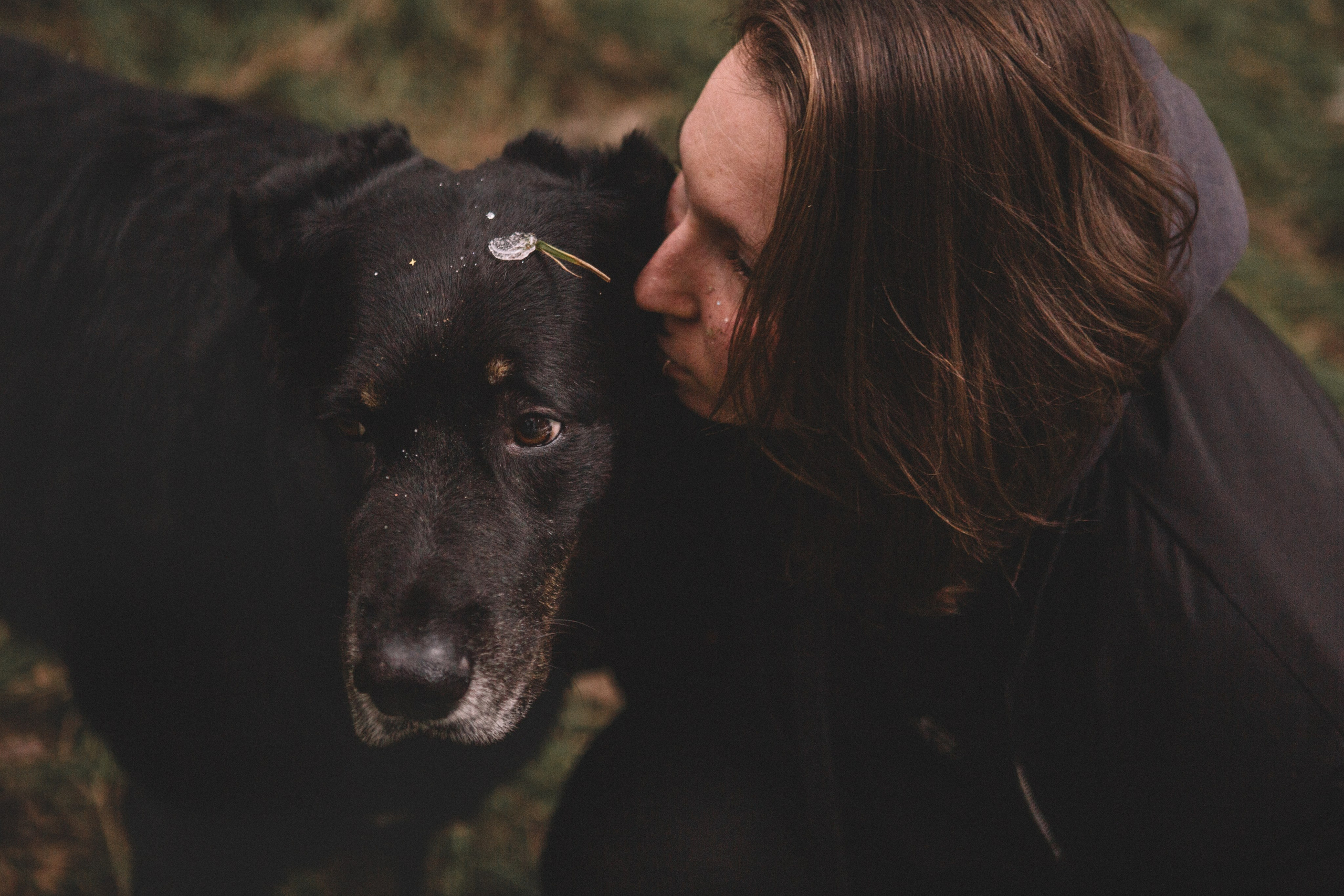 Alyona & Felix. Portrait, family and pet photographer in Cyprus, Ksenia Bourdelle