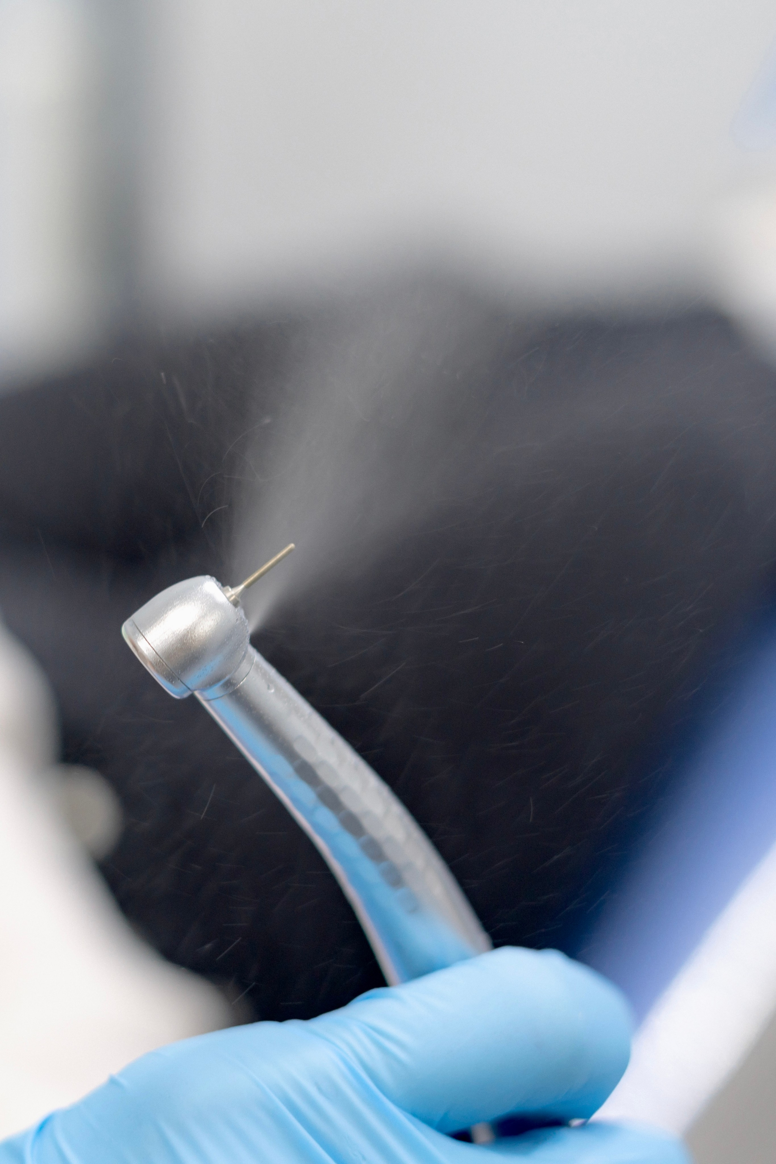 Dentist. Фотограф Александра Волкова | Волгоград