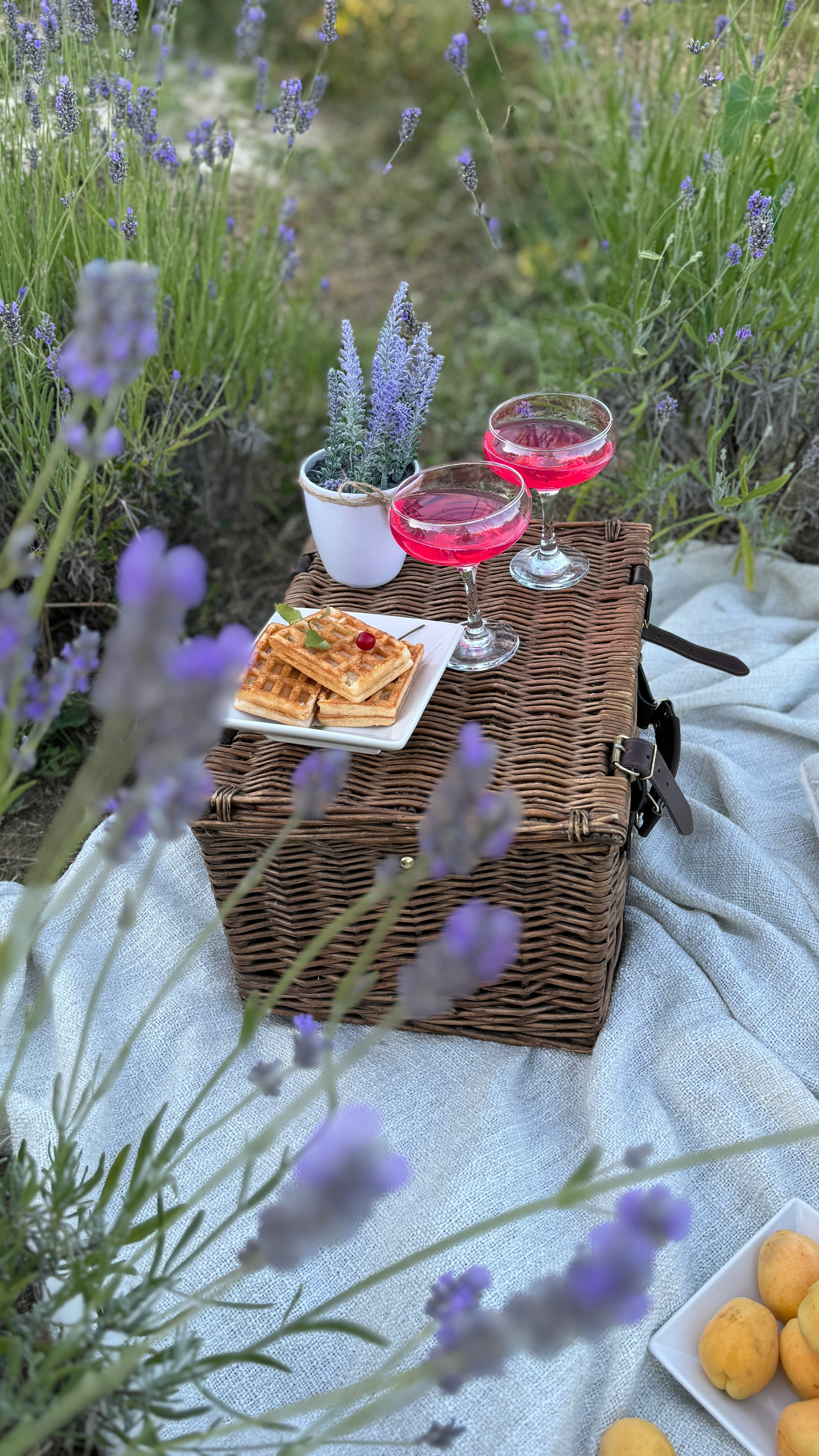 Пикники. Фотостудия Натальи Забродской