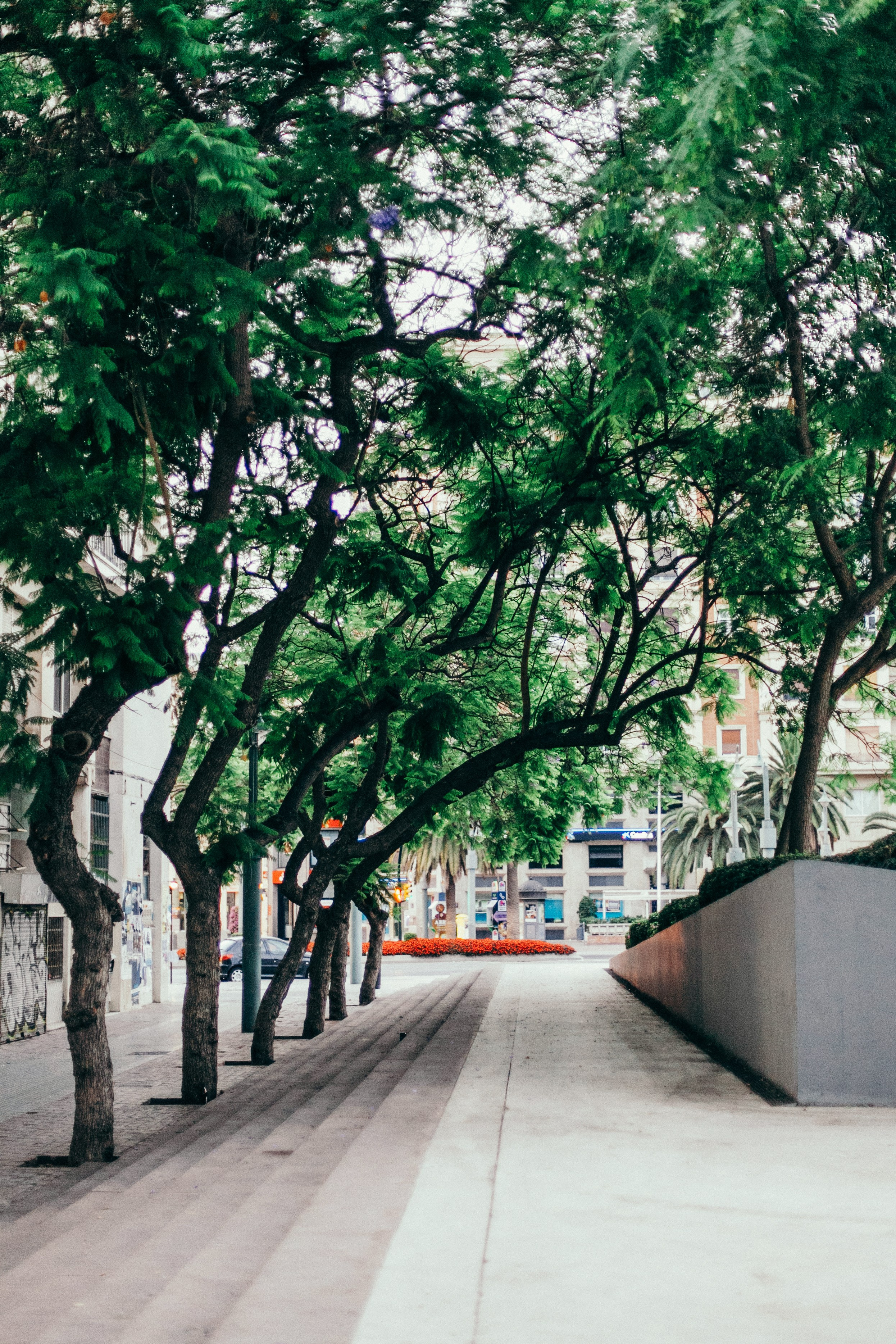 Малага. Аня Степанова