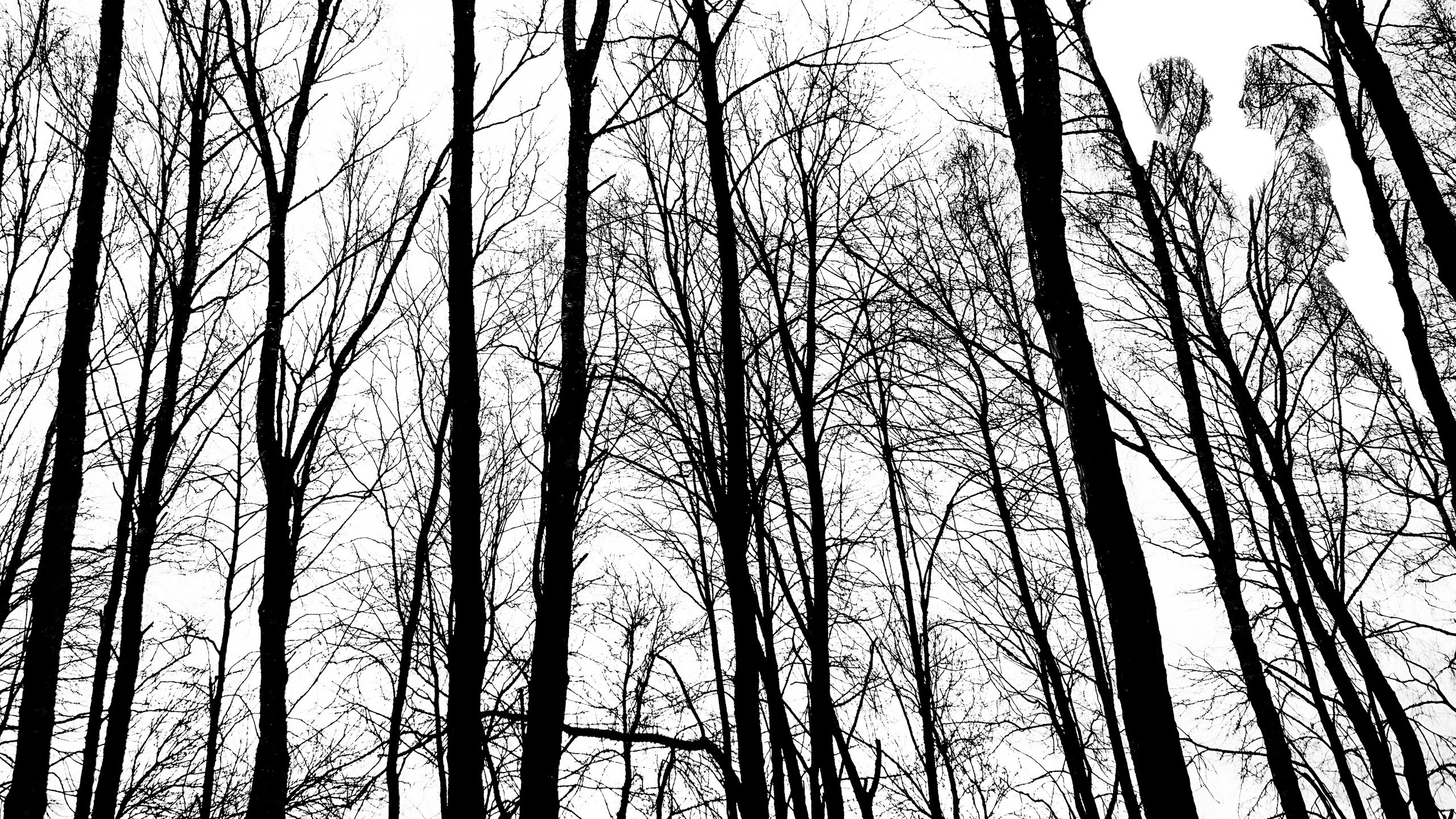 Свадьба.Дождь.Библиотека. Свадебный фотограф Юлия Логинова