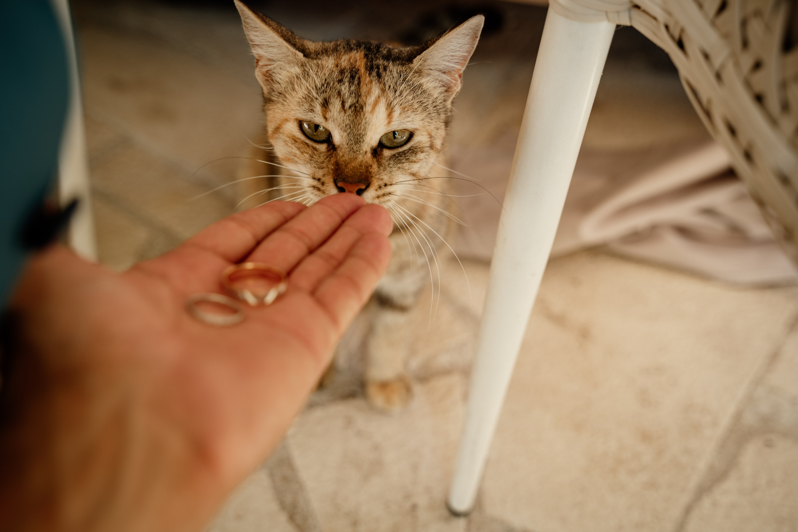 Your Montenegro Destination Wedding Photographer. Photographer in Montenegro | Фотограф в Черногории