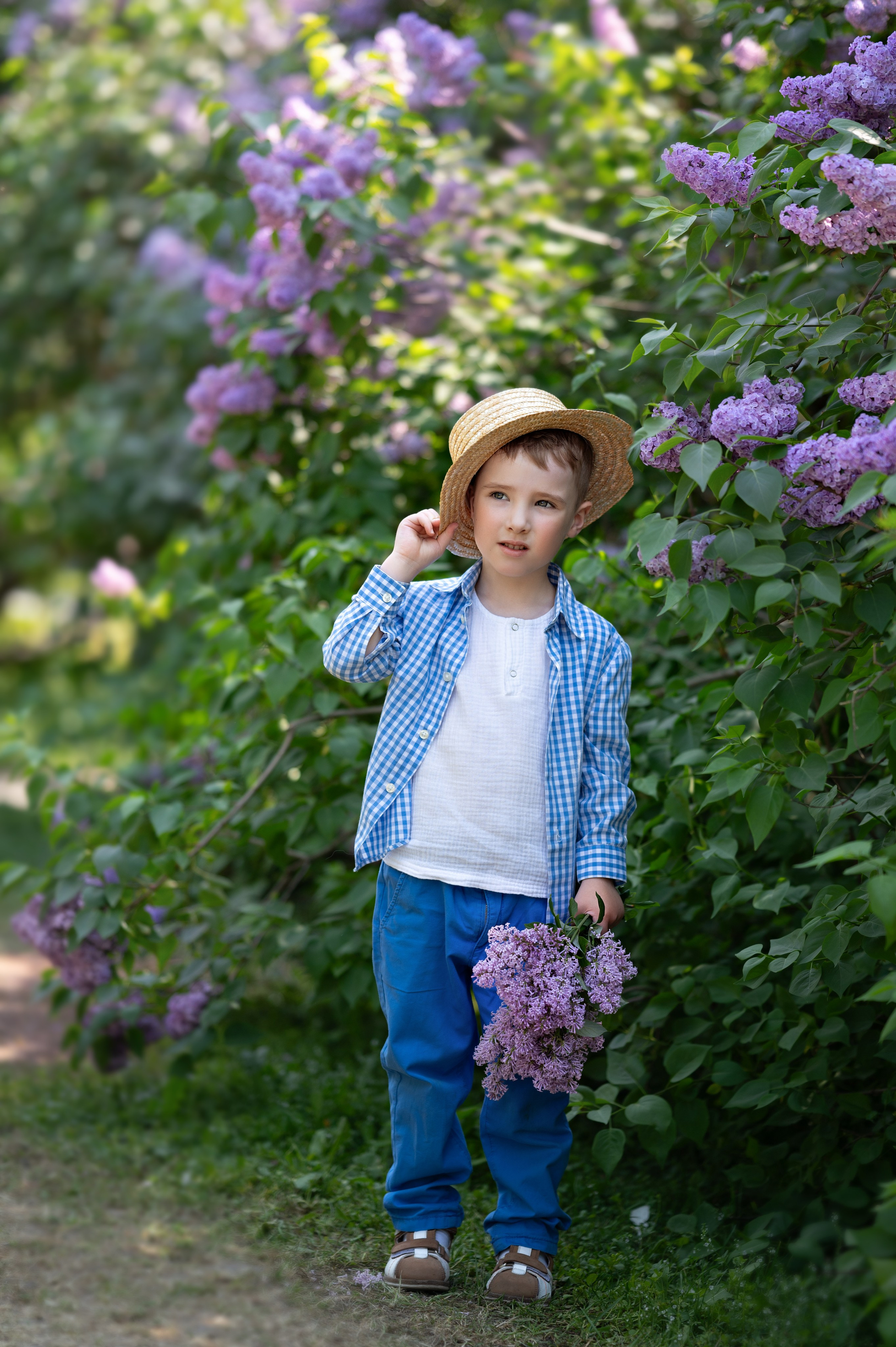 Сирень. Детский и семейный фотограф г. Москва Оксана Катаджи