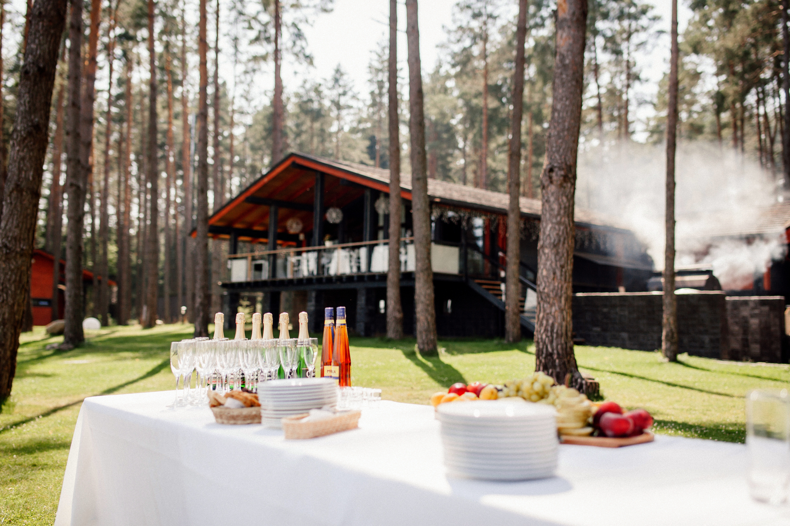 Лера и Антон. комплекс «Шишки». Фотограф Дмитрий Щекочихин