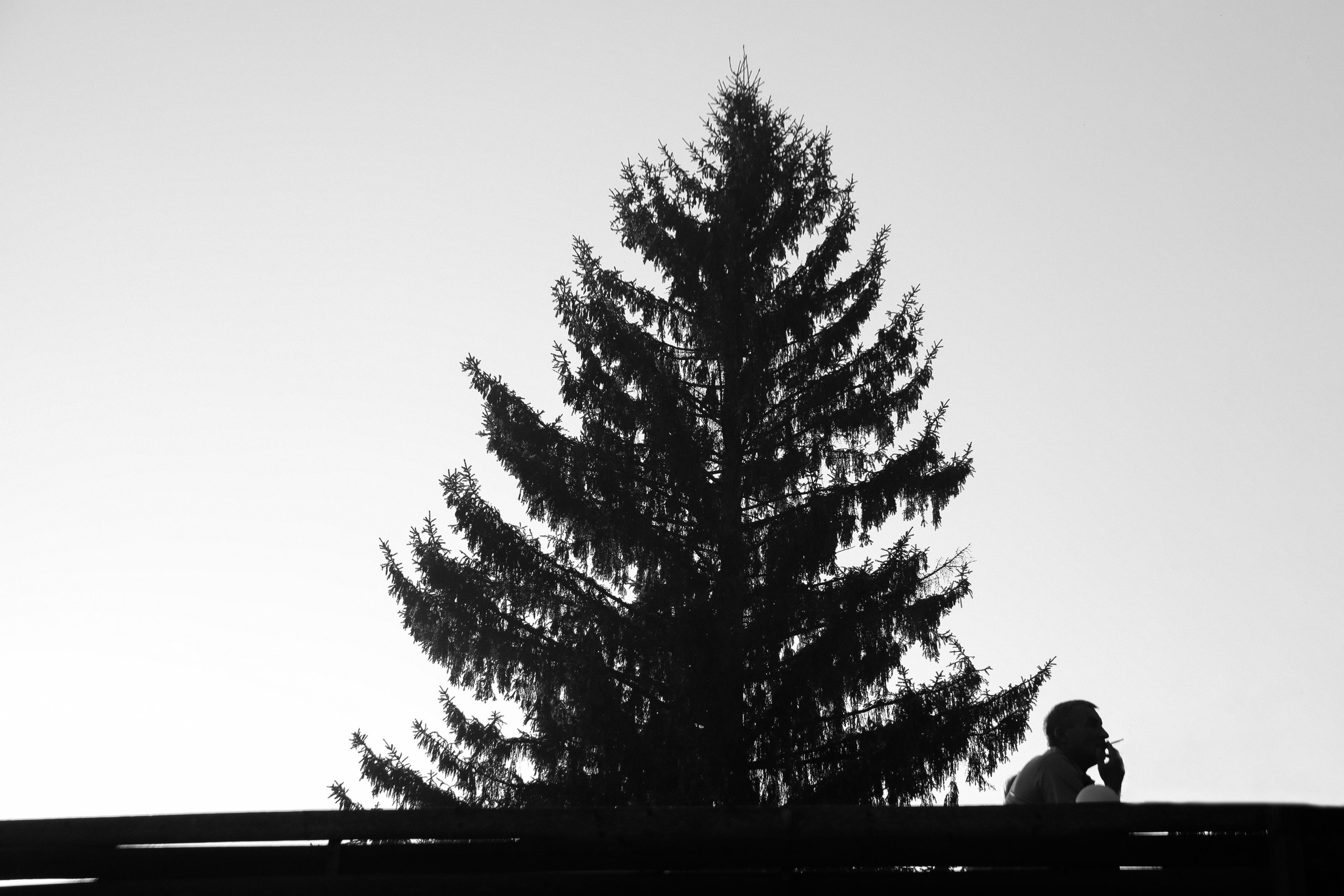 Мария & Никита. Свадебный и семейный фотограф в Кирове, Малых Никита