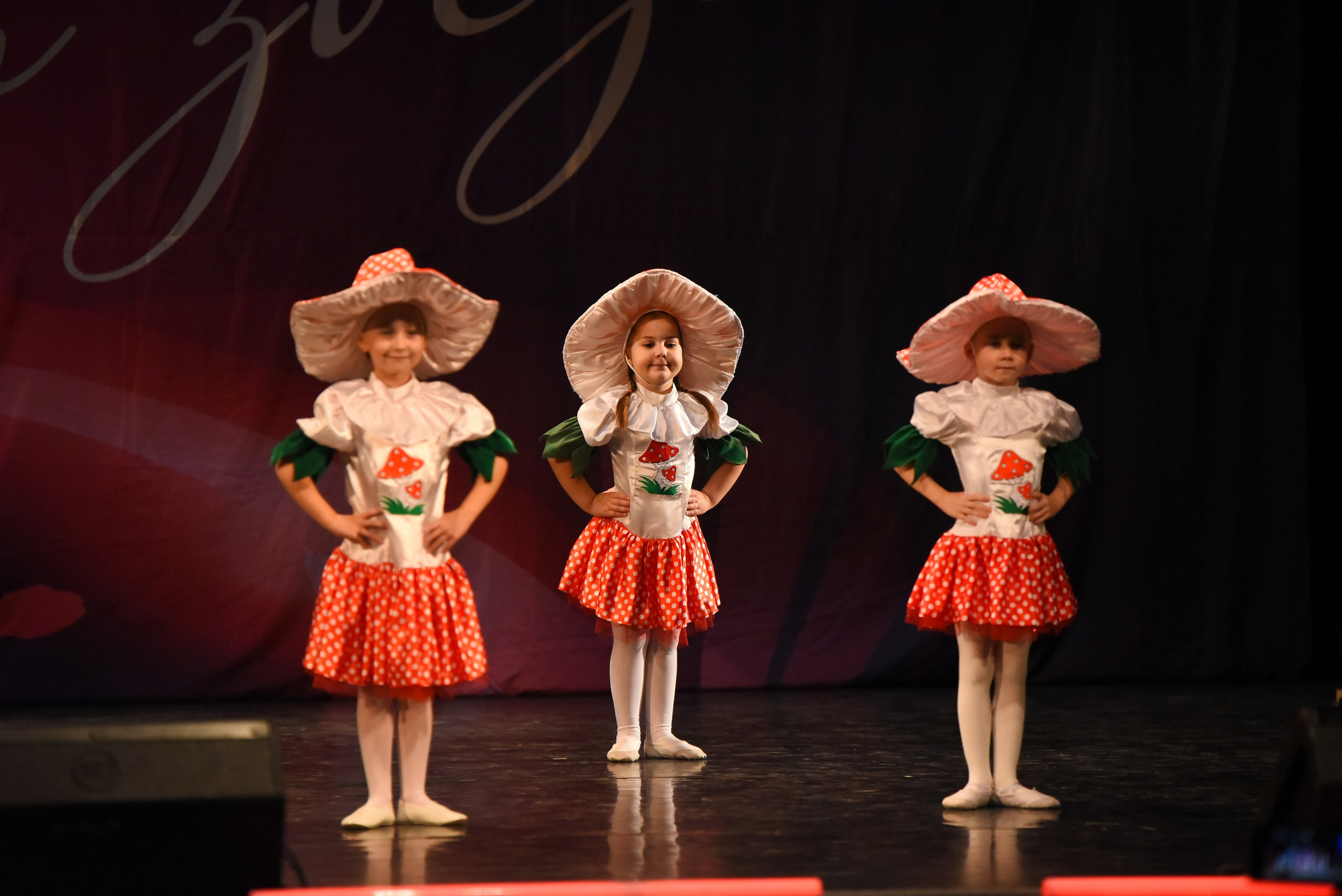 13 декабря, г. Калининград. Золотое яблочко