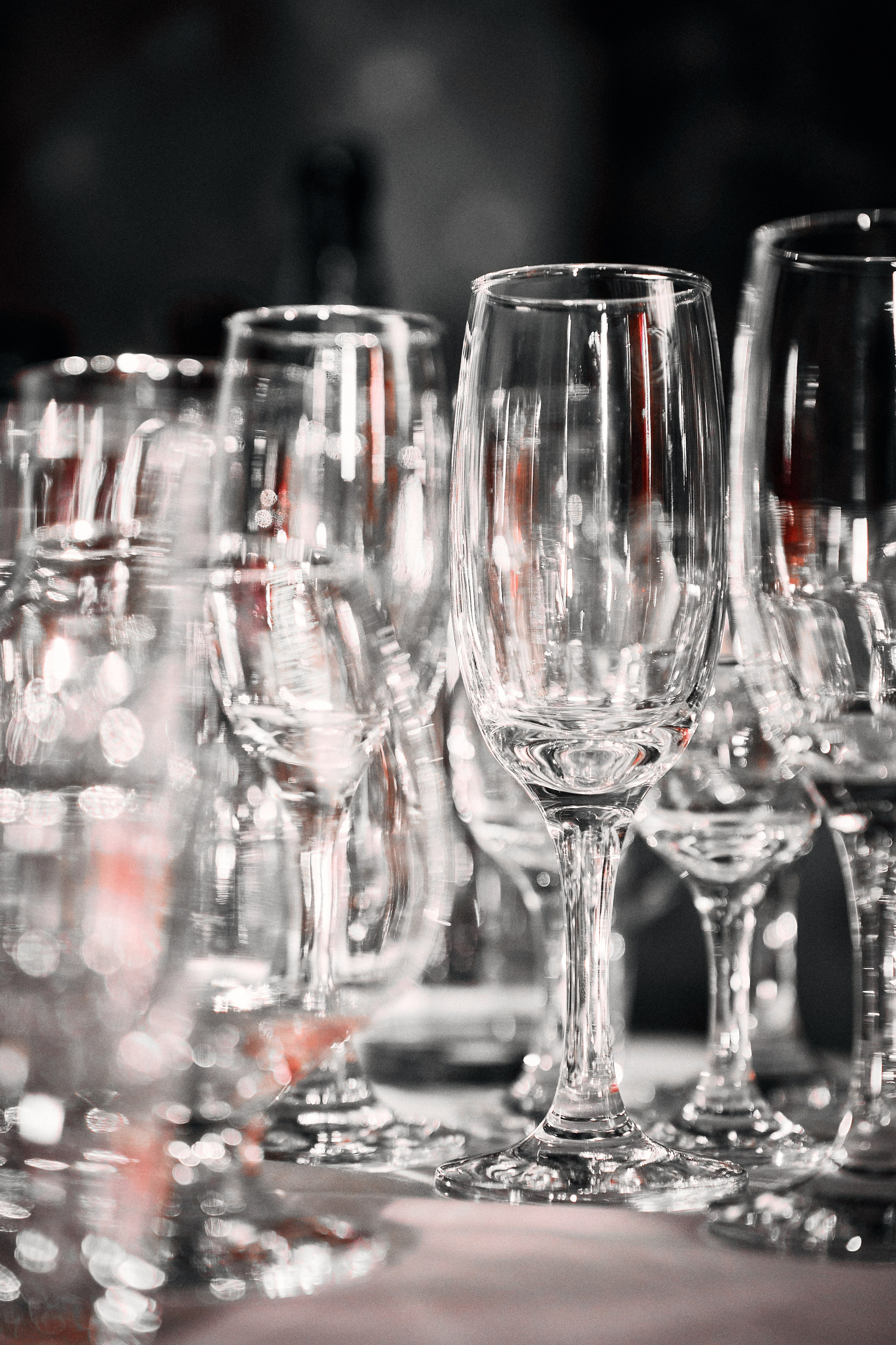 Максим и Светлана