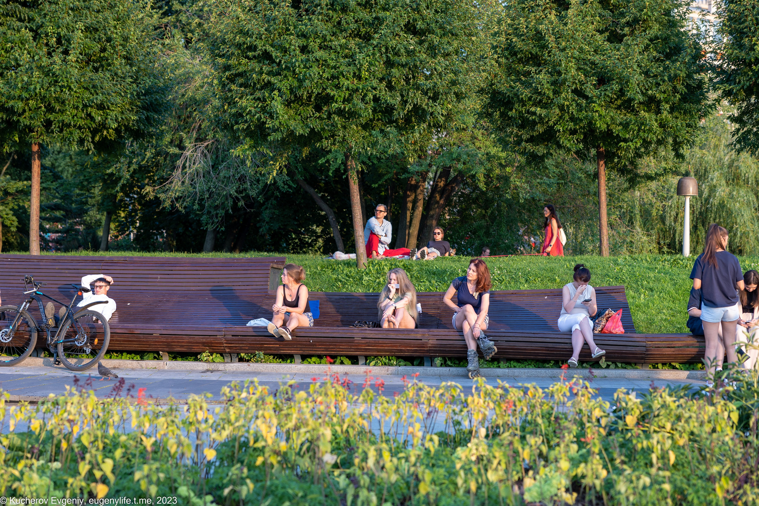 Скамейки. Кучеров Евгений. Фотограф