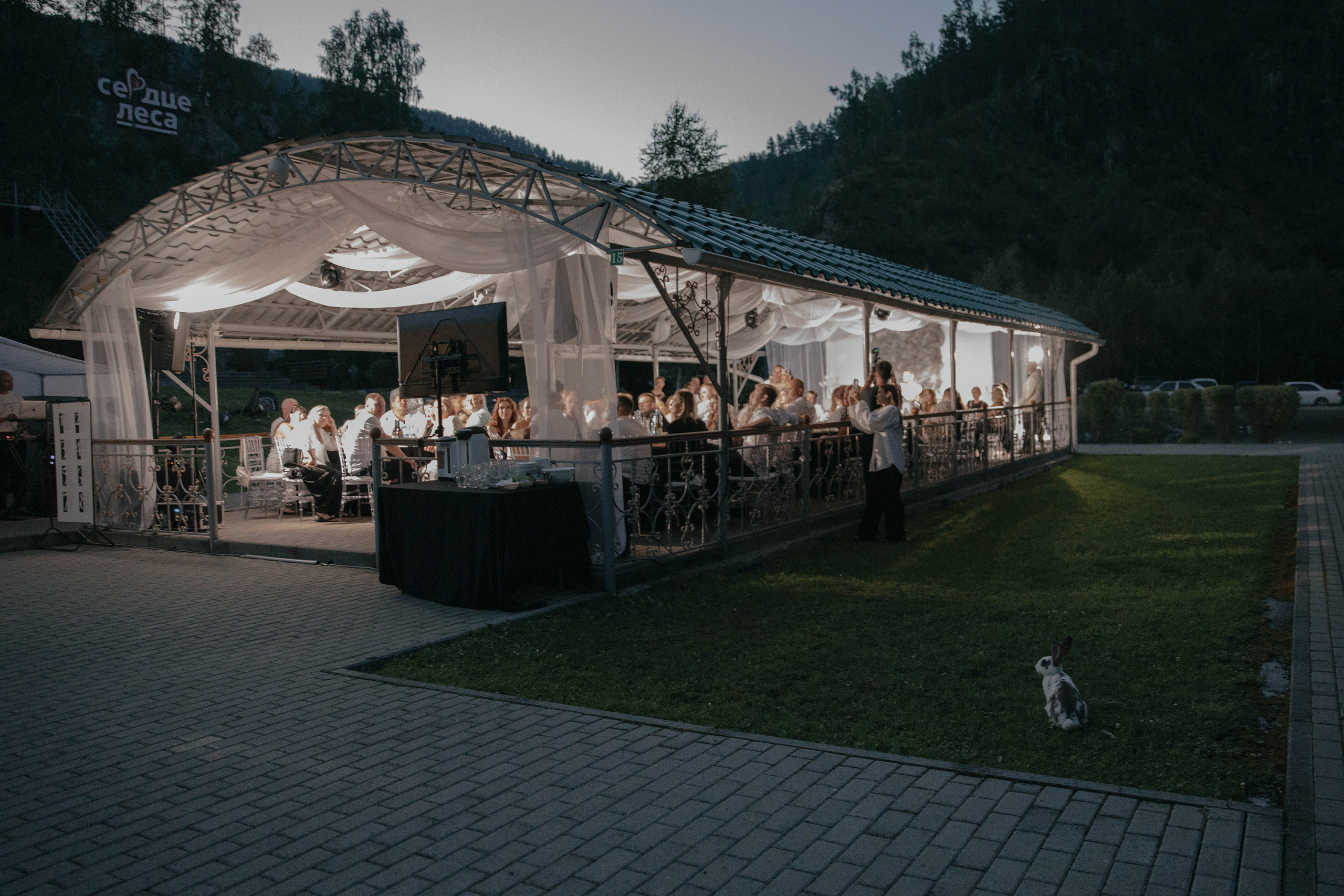 Максим и Арина. Фотограф Барнаул Полина Теплова