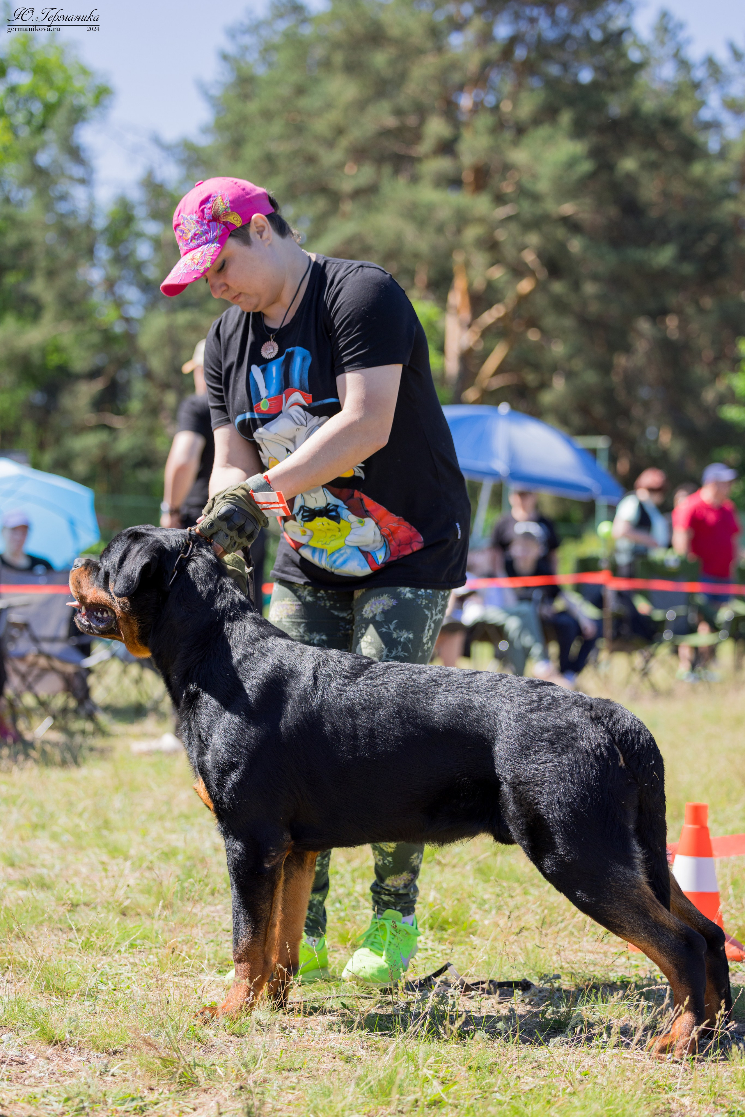 Воронеж моно ротвейлеров 25-26.05.2024. Фотограф-анималист Юлия Германика