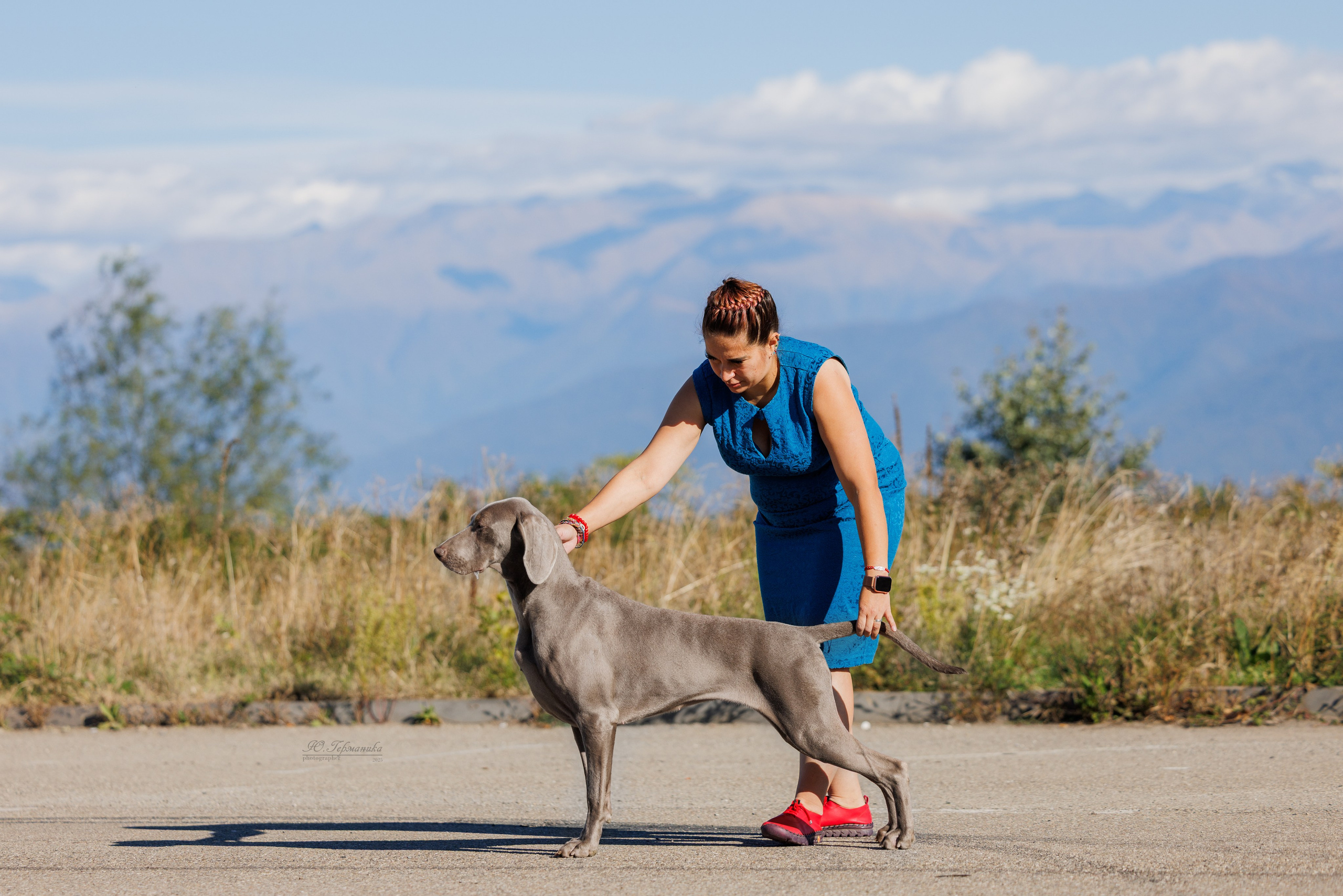 Телави 11-12.10.2025. Фотограф-анималист Юлия Германика