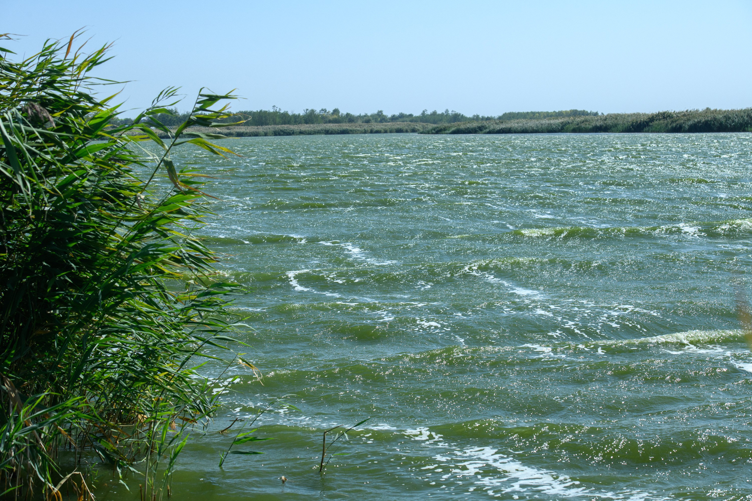 Тихорецк. Профессиональная фотосъемка. Ростов-на-Дону