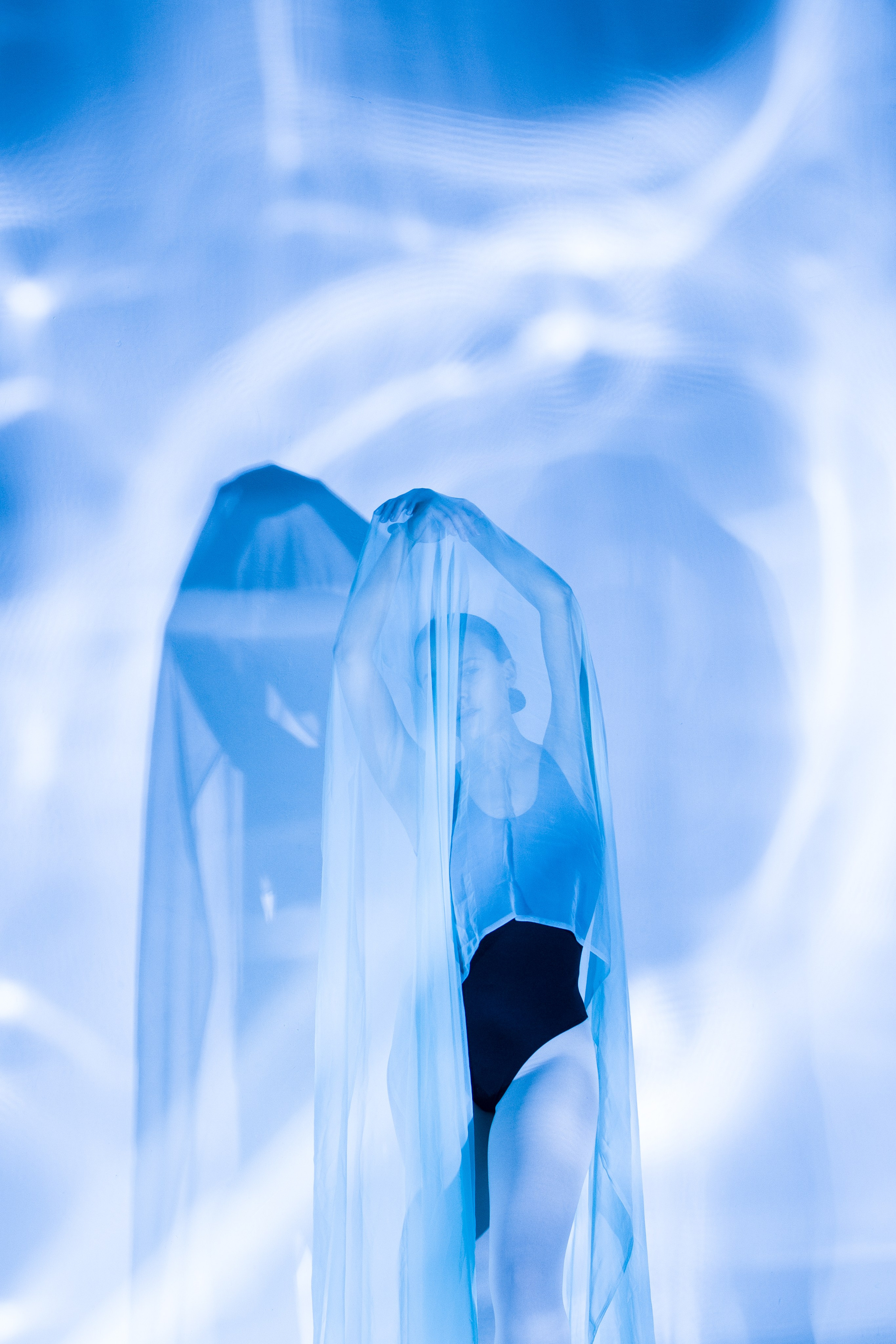 Лилия. Художественная фотография