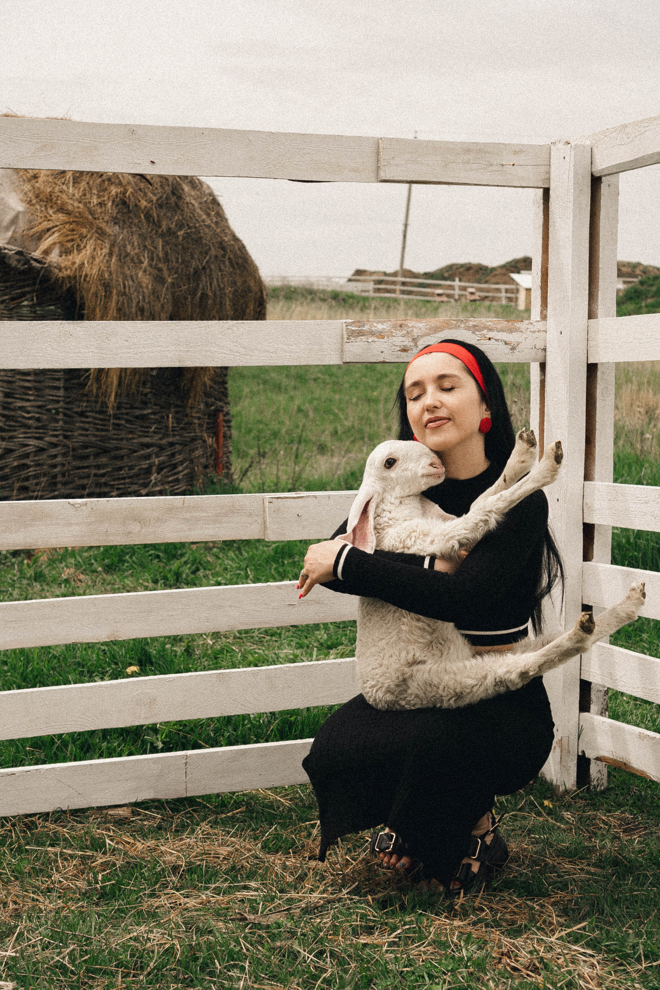 Ферма Альпак. Профессиональный фотограф, Санкт-Петербург — Виктория Богомолова