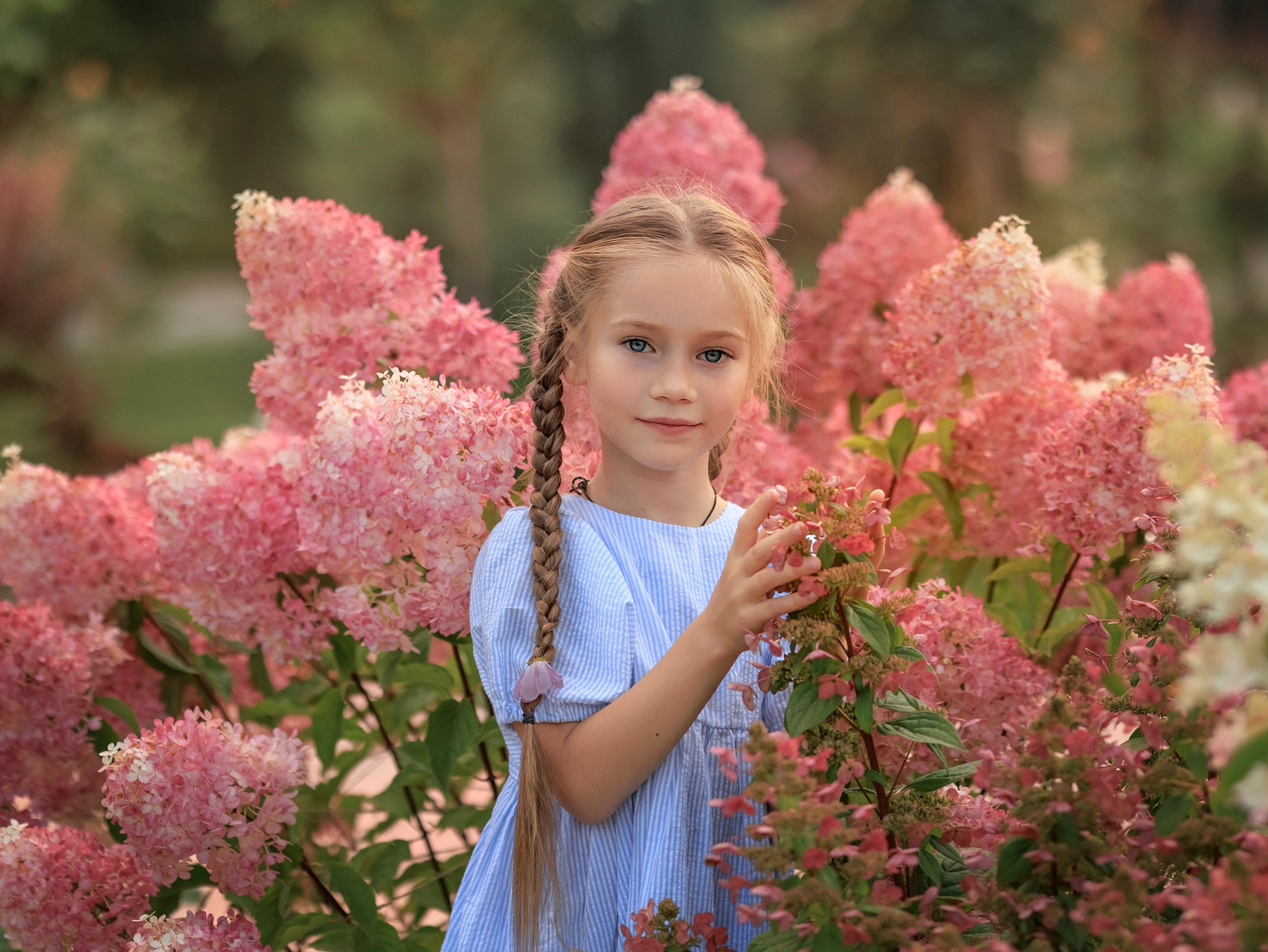Цветочные истории. Фотографирую в парке-заповеднике «Купидон»