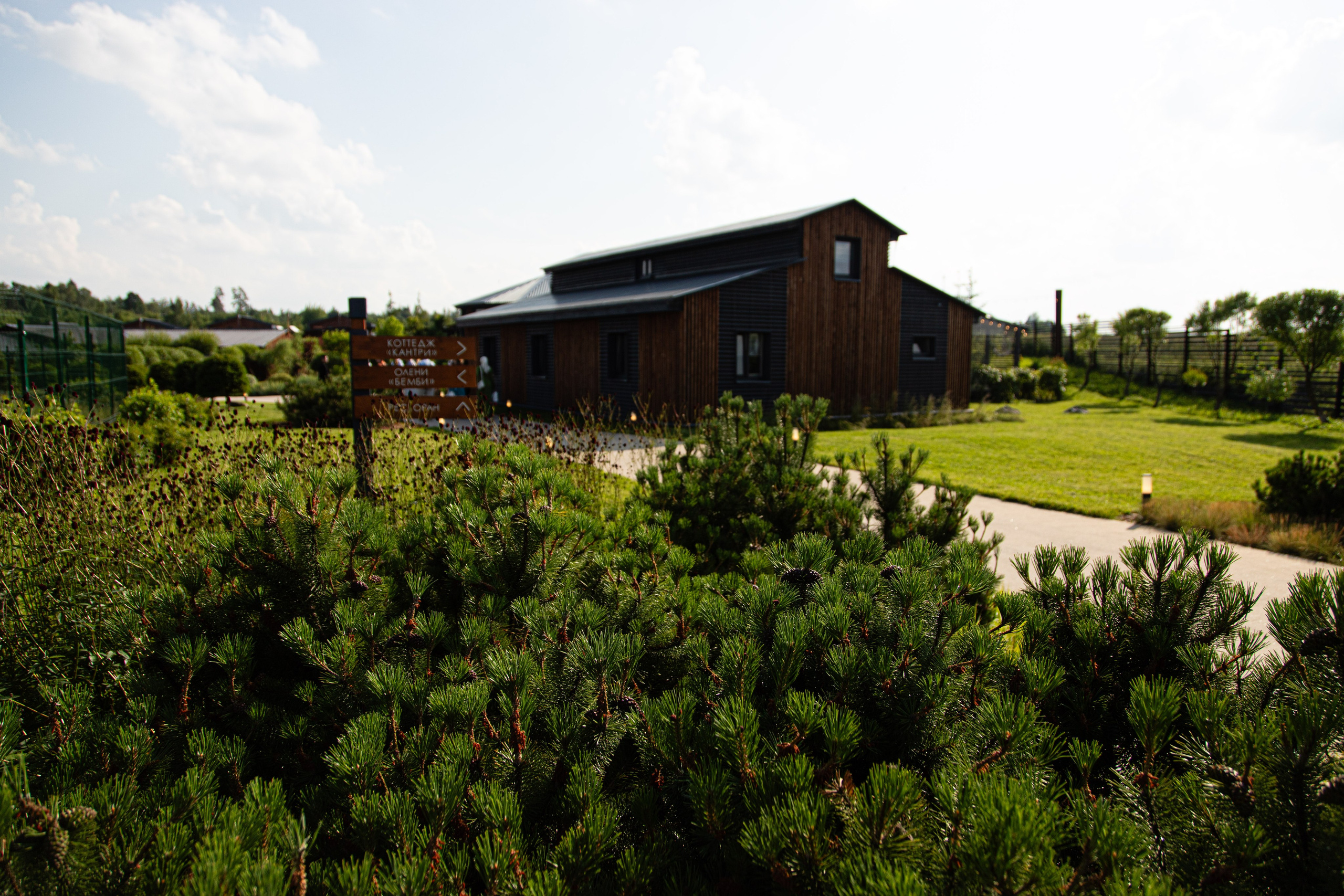 Лилиана и Сергей. Свадебный фотограф в СПб и Москве Павел Сергеев