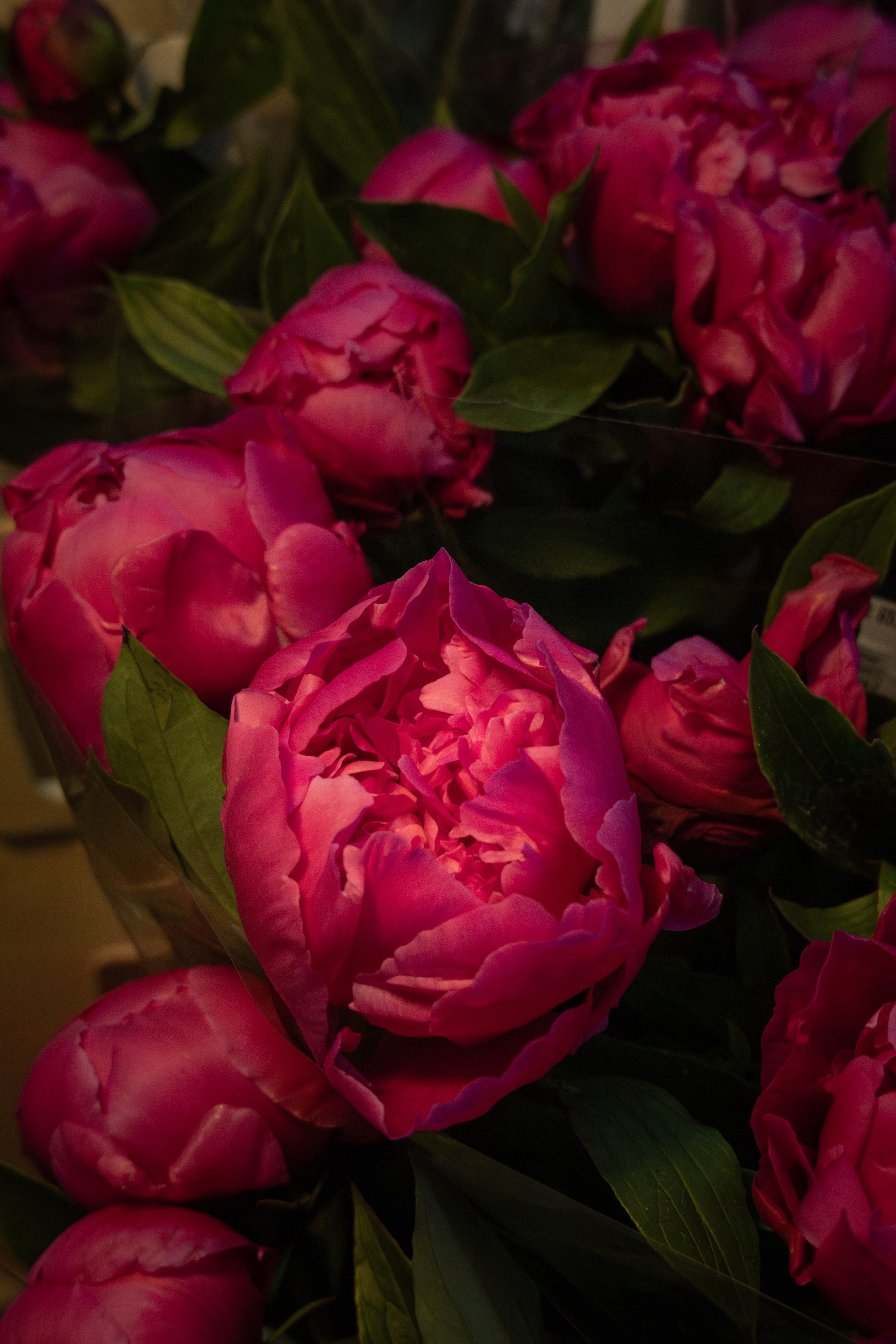 Flower warehouse. Фотограф Дарья Карпенко