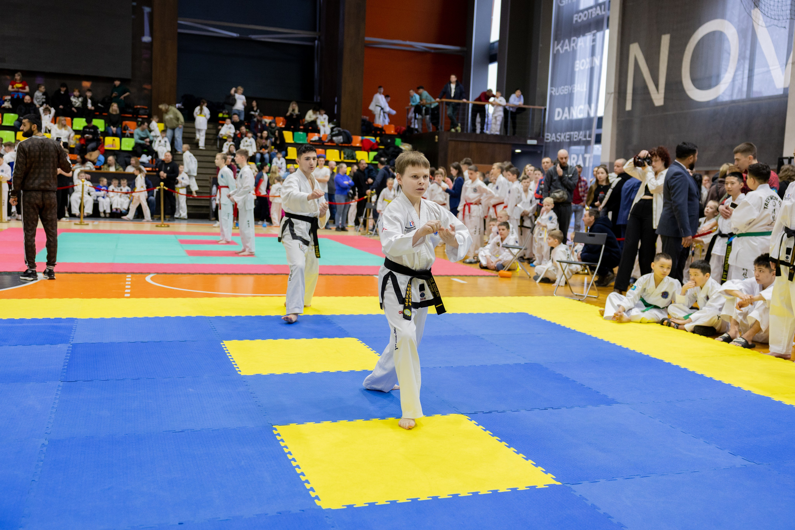 Тхэквондо. Питерский фотограф