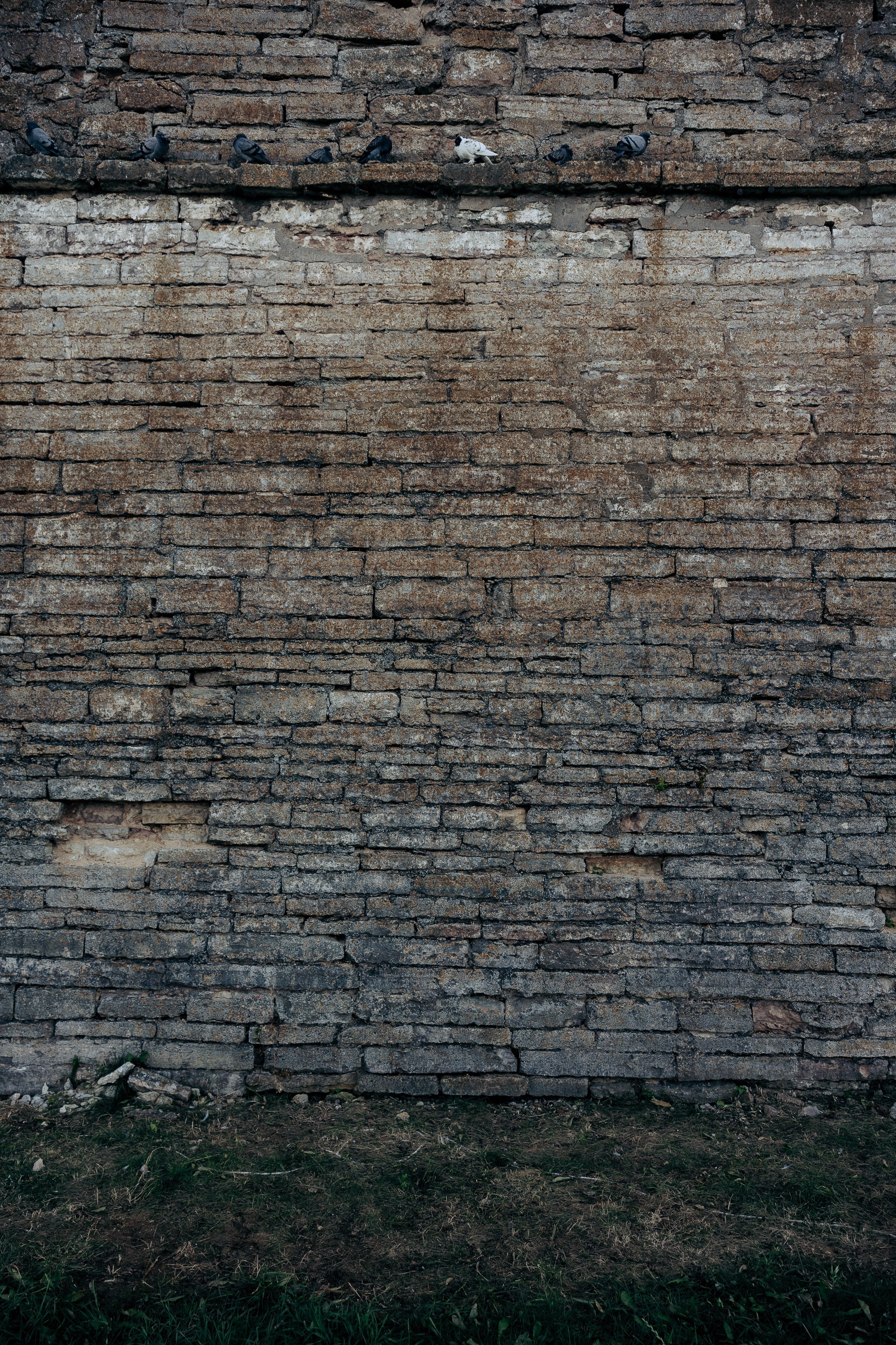 Шлиссельбург. Профессиональный фотограф в Санкт-Петербурге Александр Волосенцев