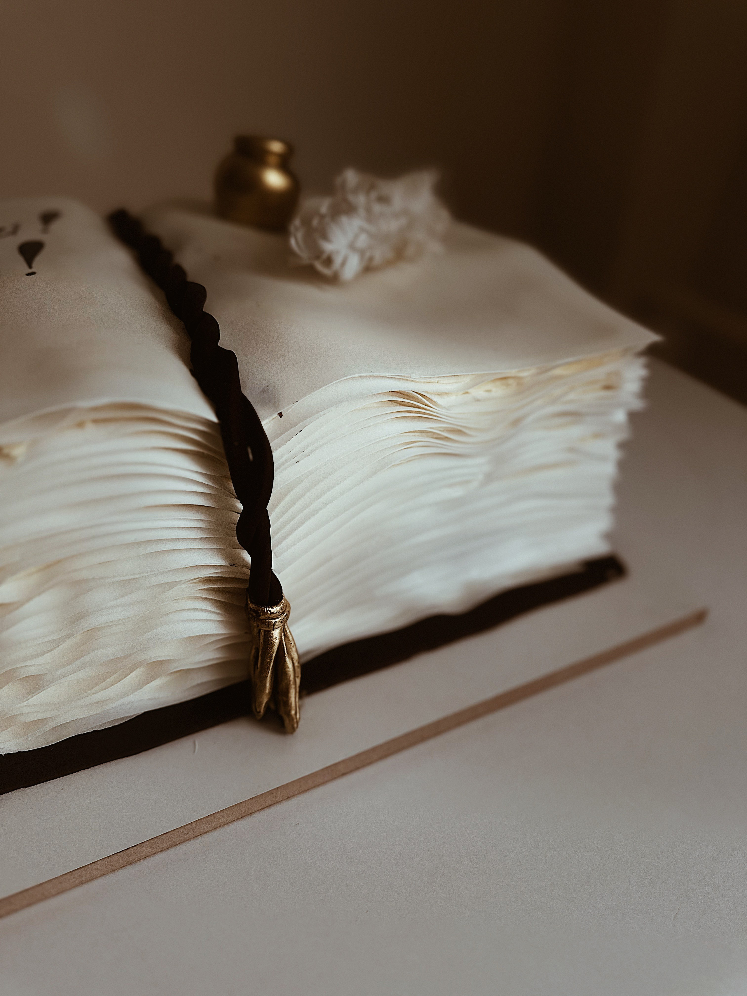 Торт-книга. Арт-кондитер в Москве Маша Шафран