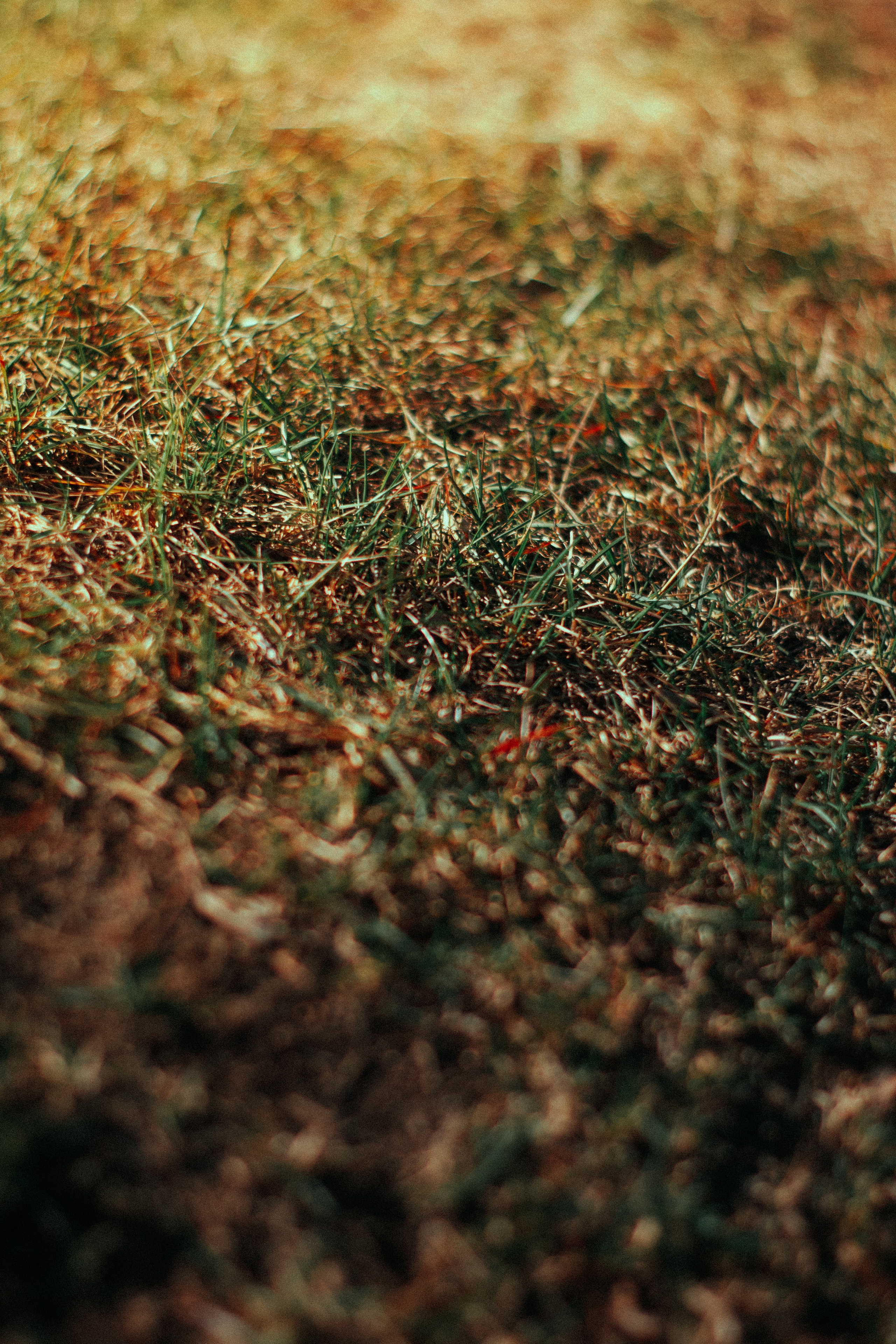 Индивидуальная фотосессия для Дианы. Фотограф/видеограф Богдан Голованов