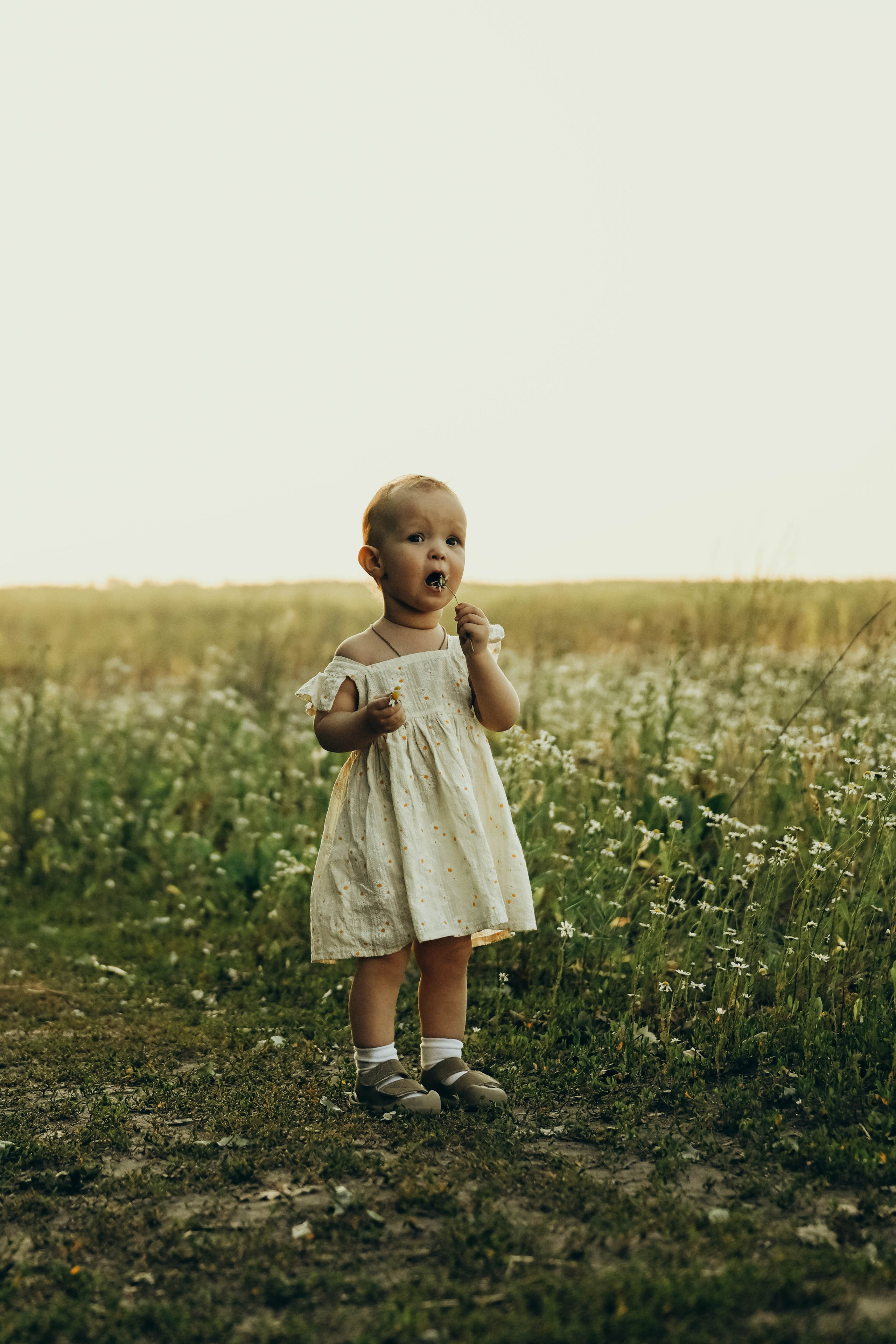 Ромашковое поле. Семейный фотограф в Москве Люберцах Ирина Вронская
