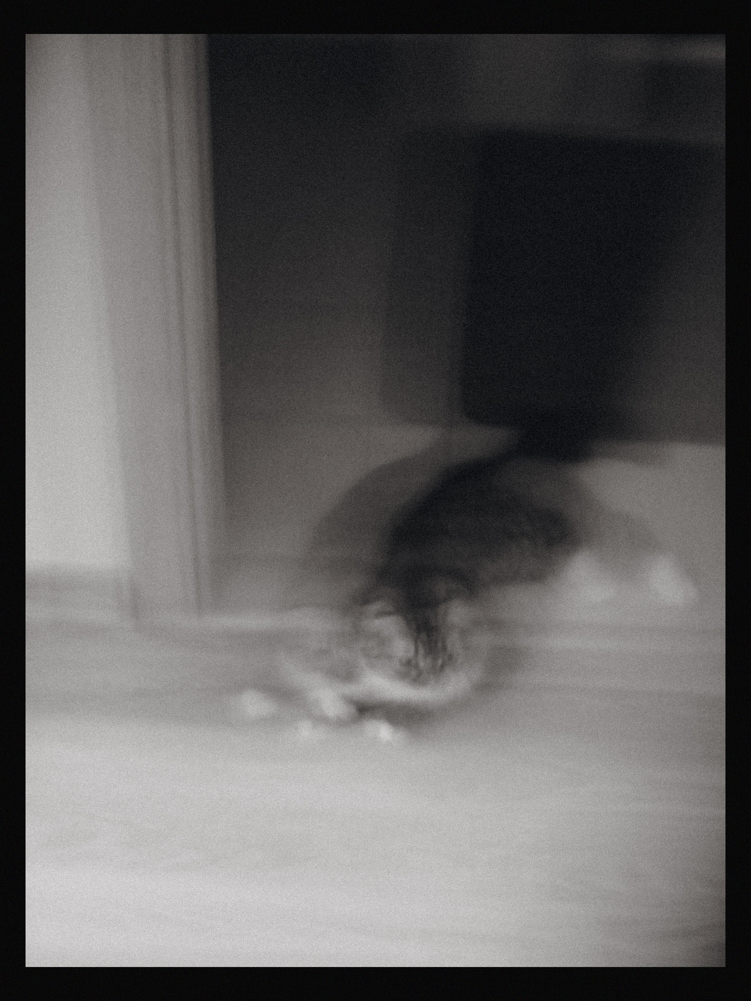 Wedding day Александр & Дарья. Свадебный фотограф Колесников Антон