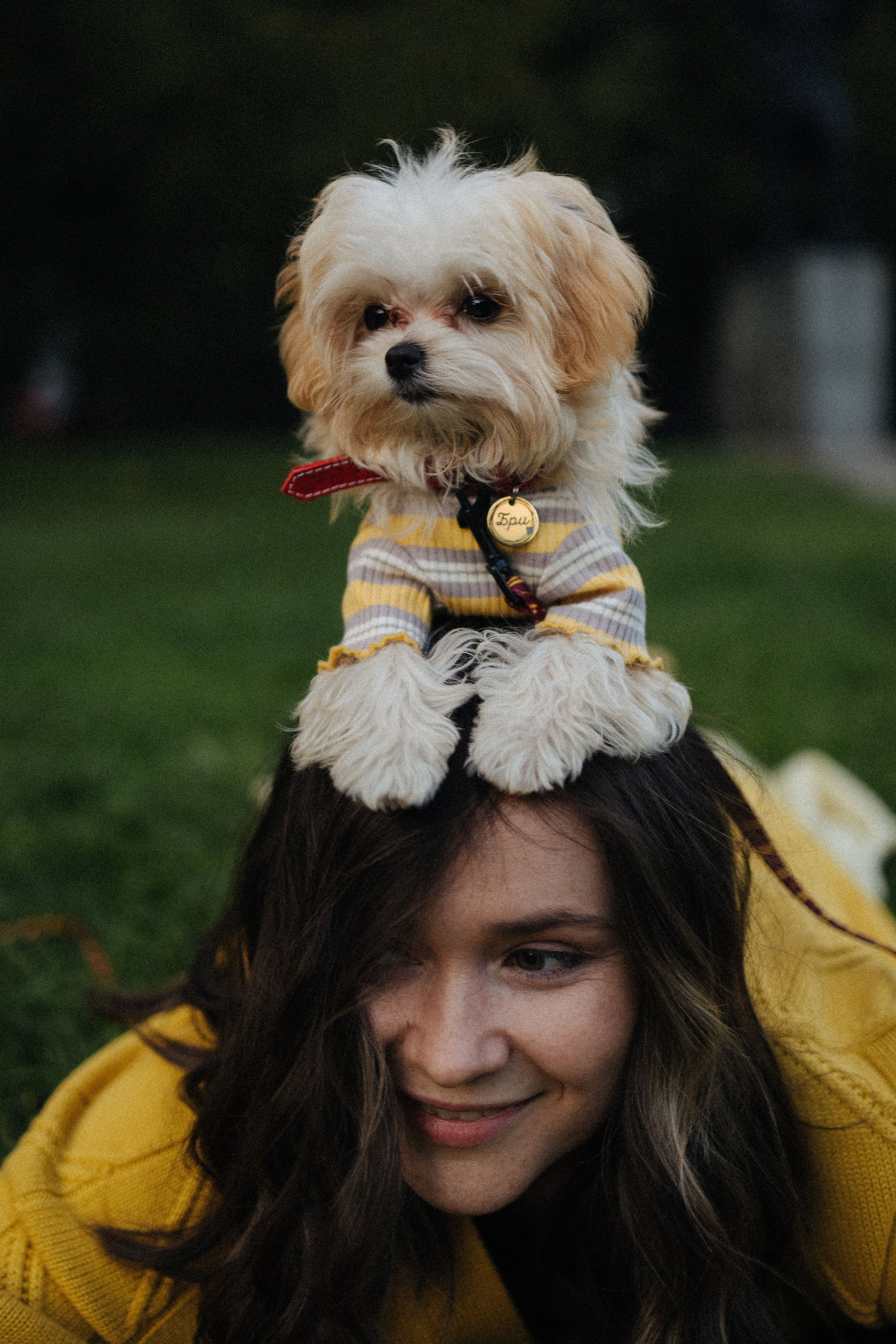 Оля и Бри. Фотораф — анималист Мария Шистка