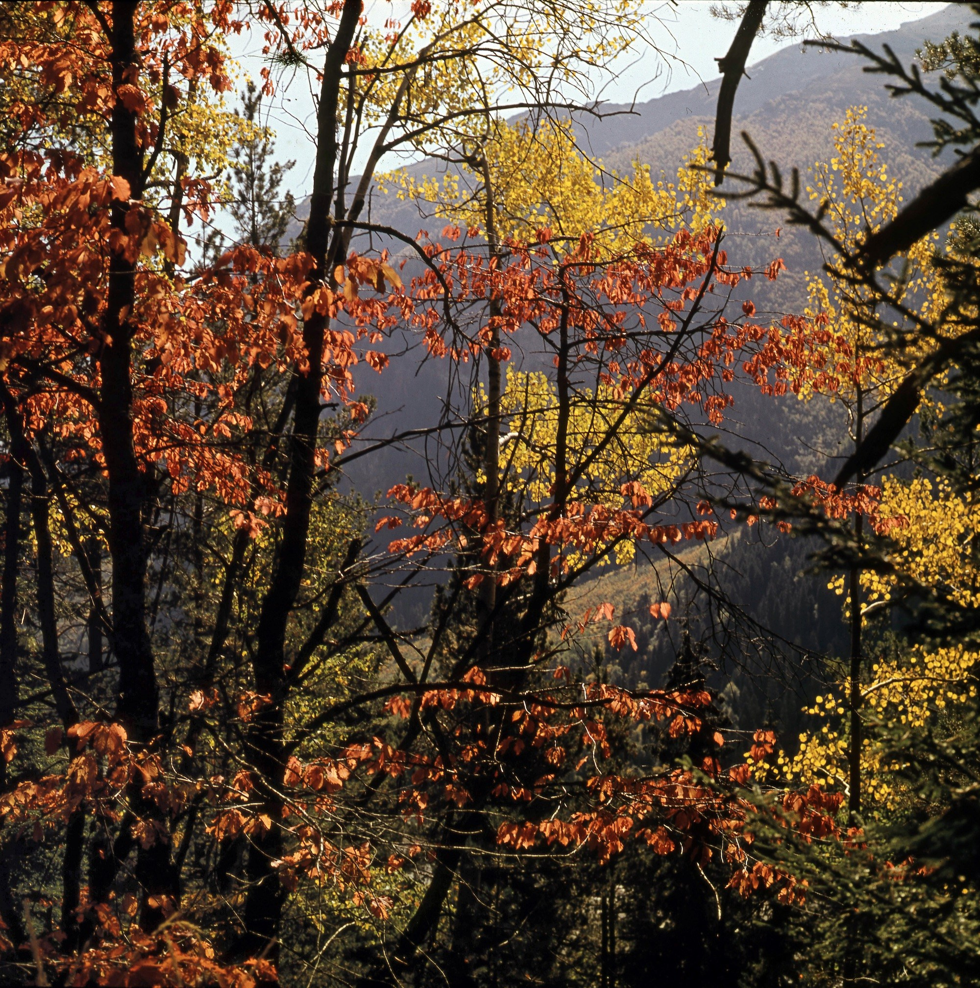 Кавказ. ВАДИМ ГИППЕНРЕЙТЕР — ВЕЛИКИЙ ФОТОГРАФ ЗЕМЛИ РУССКОЙ