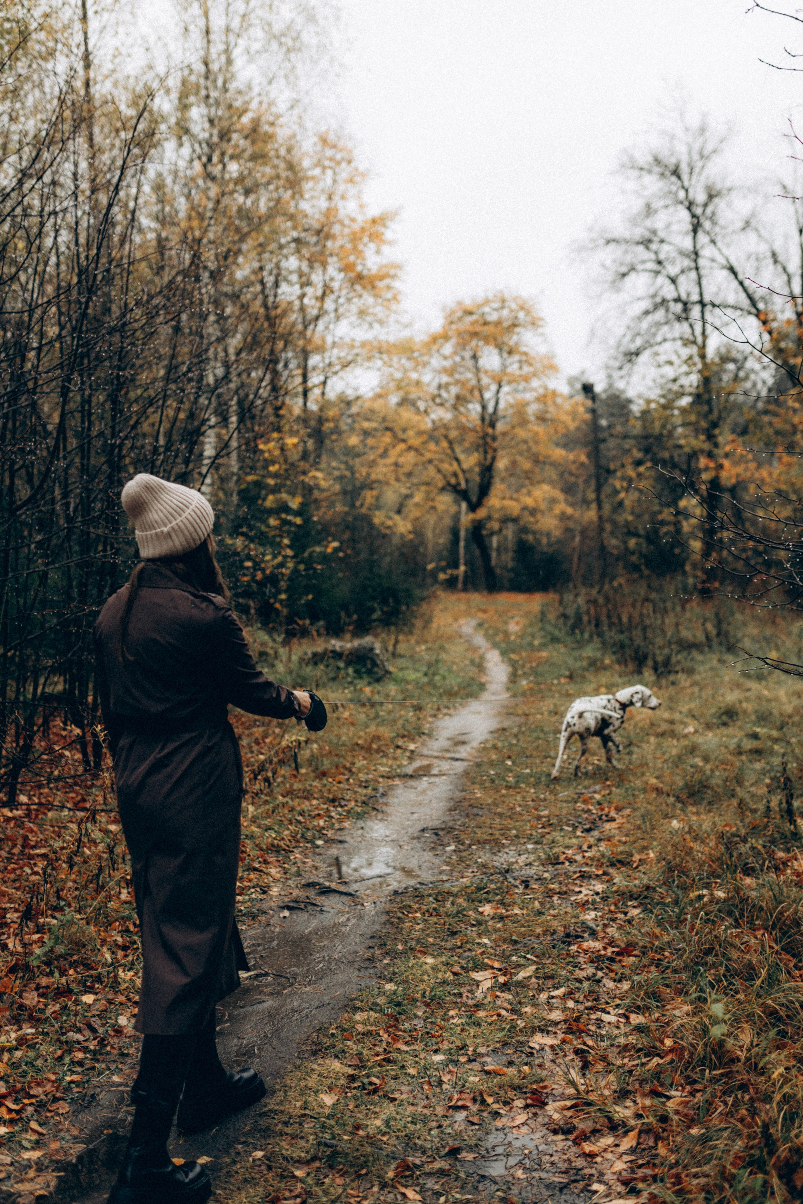 Анфиса & Нисма. Фотограф НОГИНСК, Москва, Анастасия Белая
