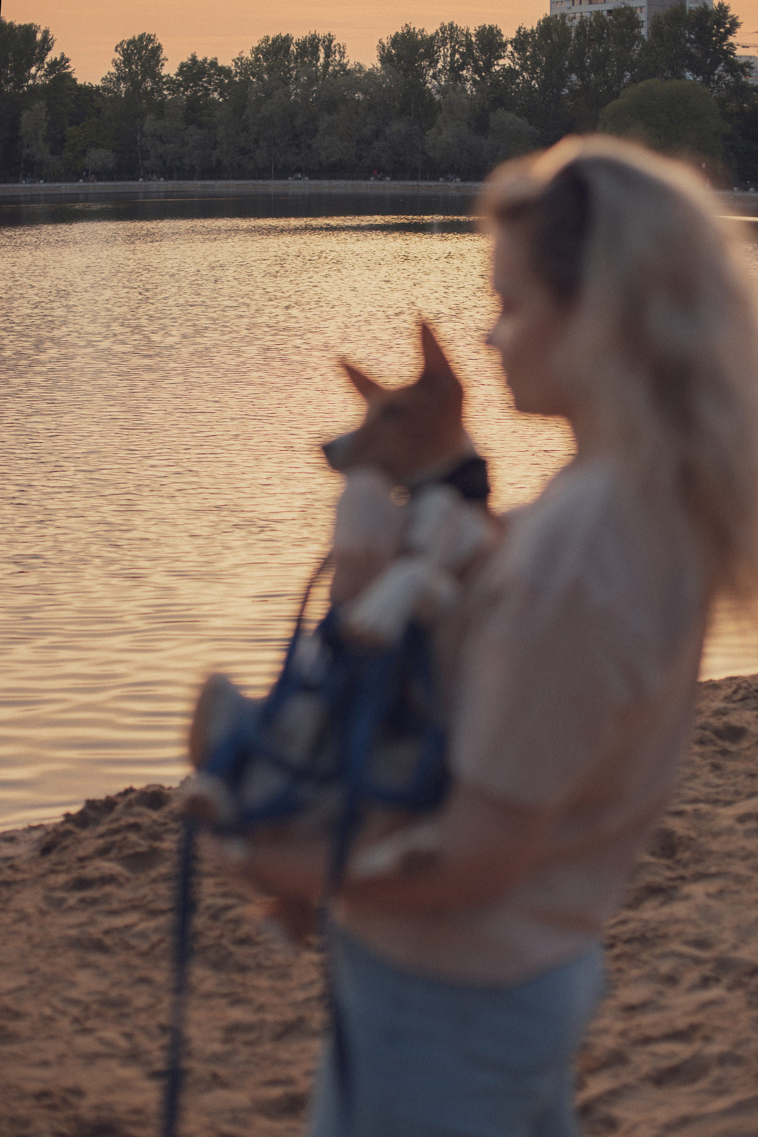 Фотосессия с питомцем. Бьюти- и портретный фотограф в Москве Полли Максимова. Создаю съёмки и делаю ретушь для брендов косметики и рекламы