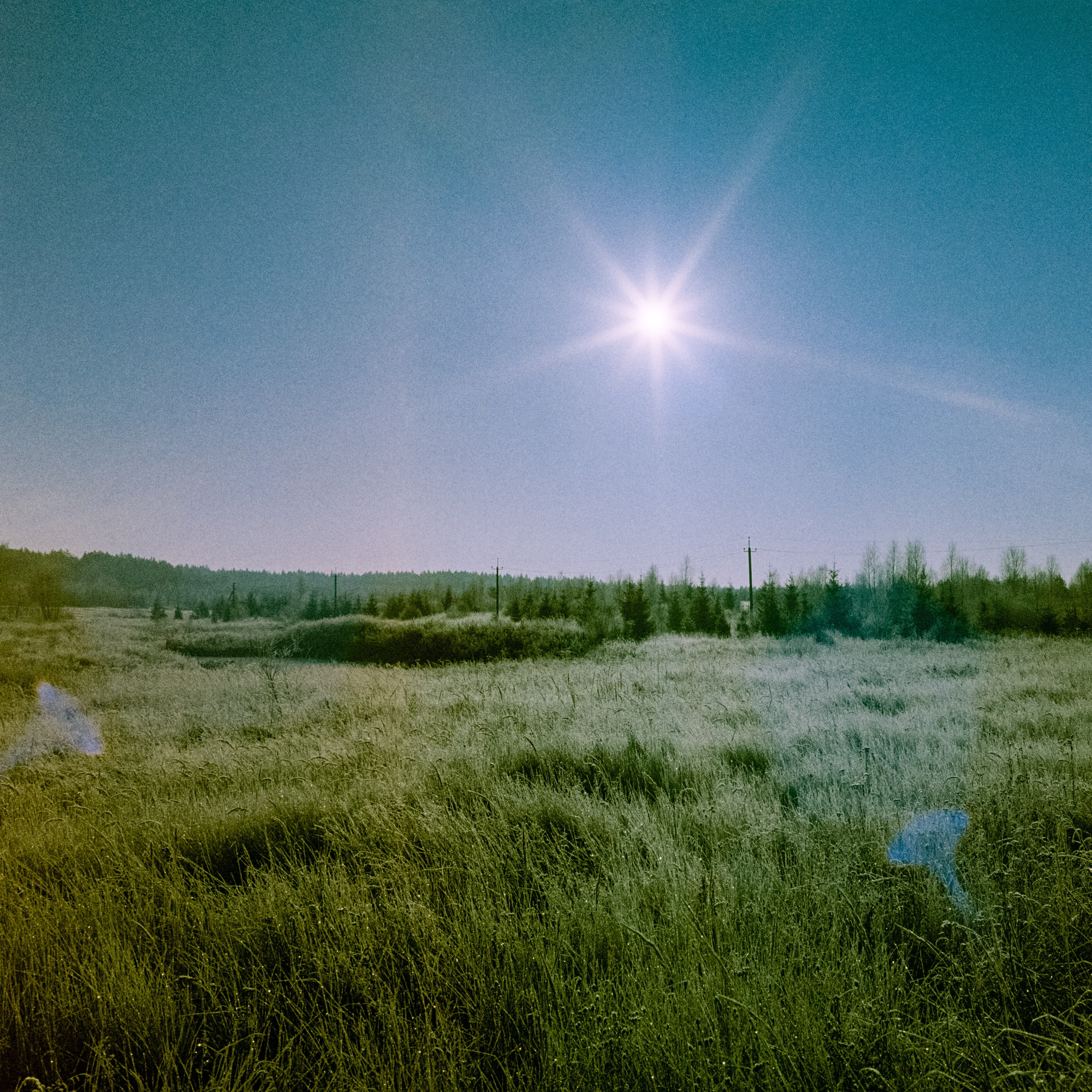 Minolta Hi-Matic 7sII / Kodak Color 200 (просрочка) / Лукино