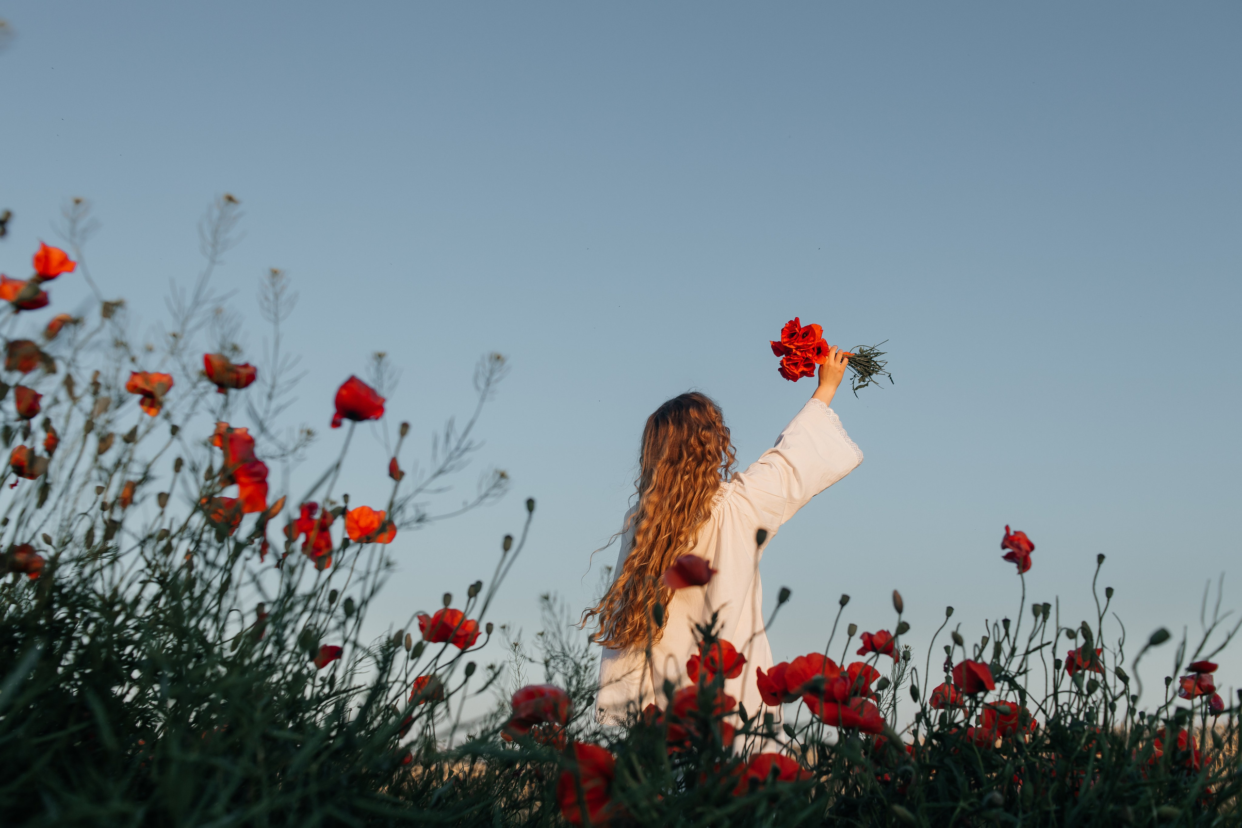 Фотосессия в маковом поле на закате. Свадебный и семейный фотограф в Краснодарском крае Мария Данилкина