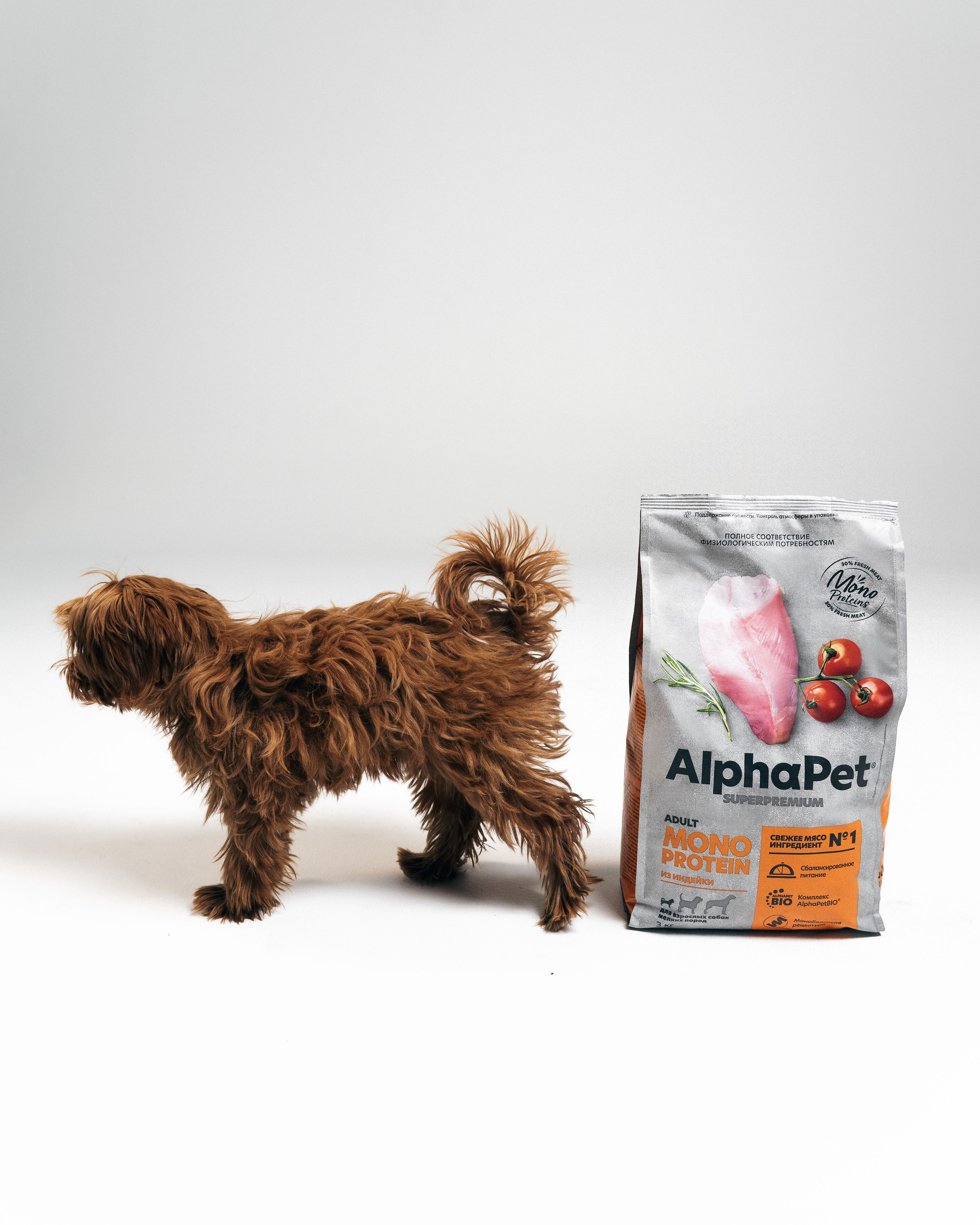 AlphaPet. Фотограф Москва