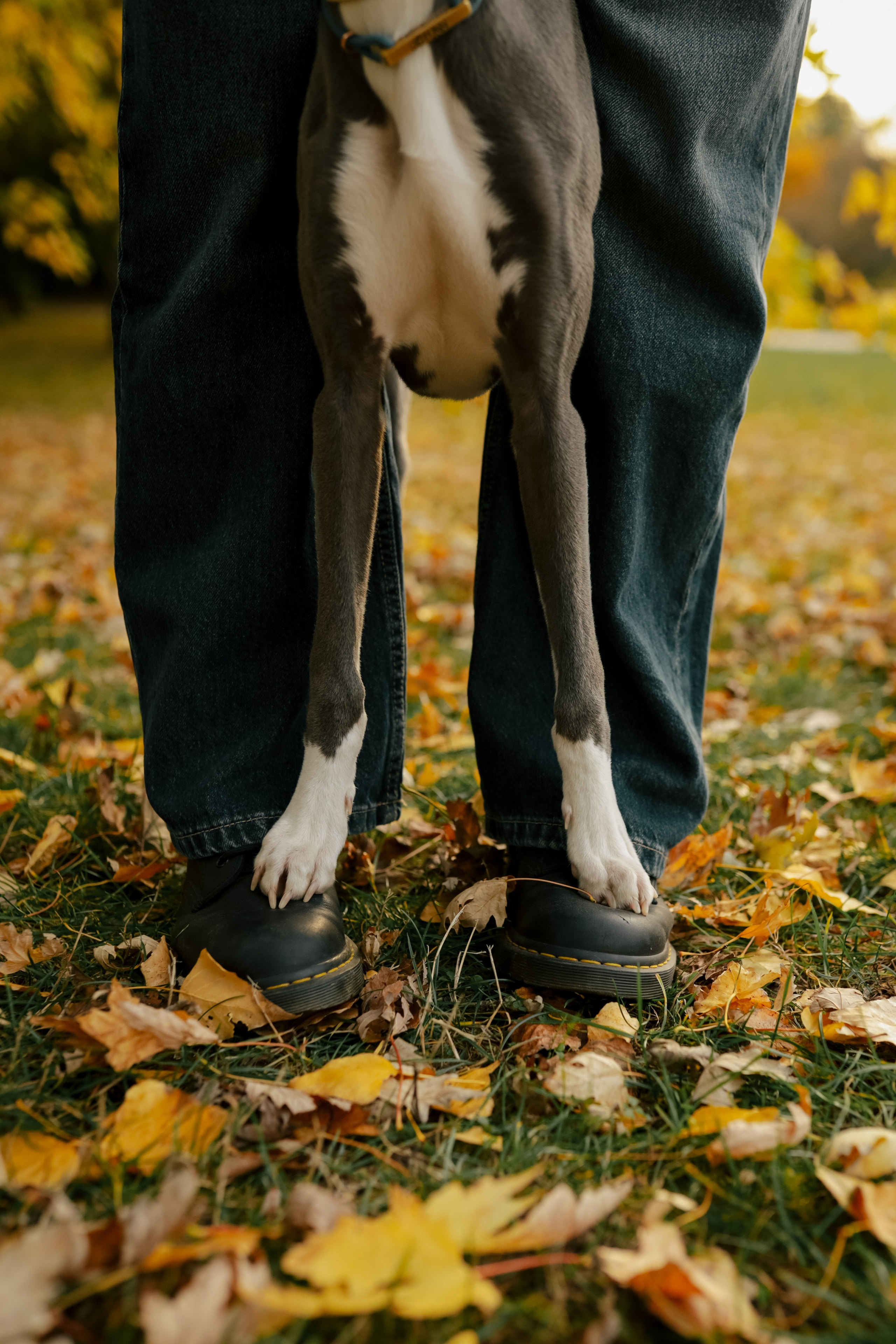 Первая осень Йотуна. Свадебный и семейный фотограф в Варшаве