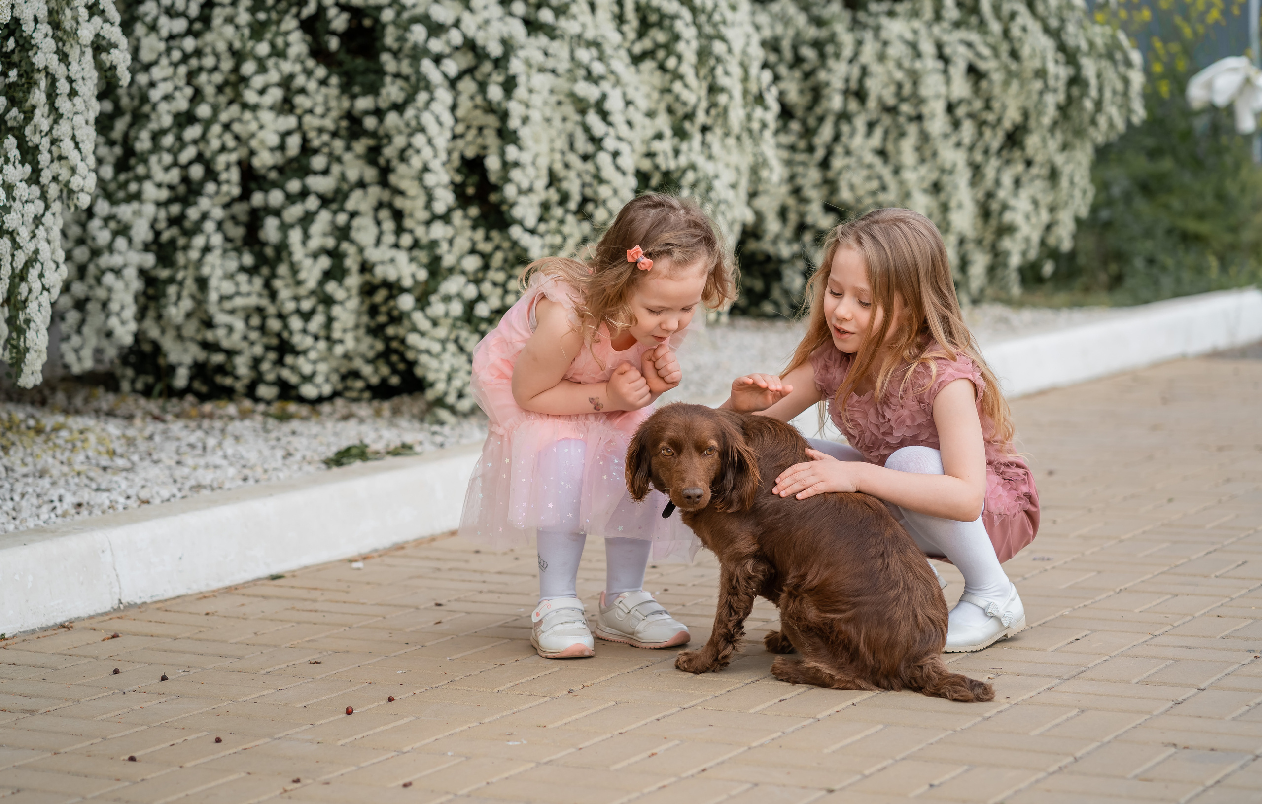 Свадебный фотограф в Астрахани Анна Шишкина