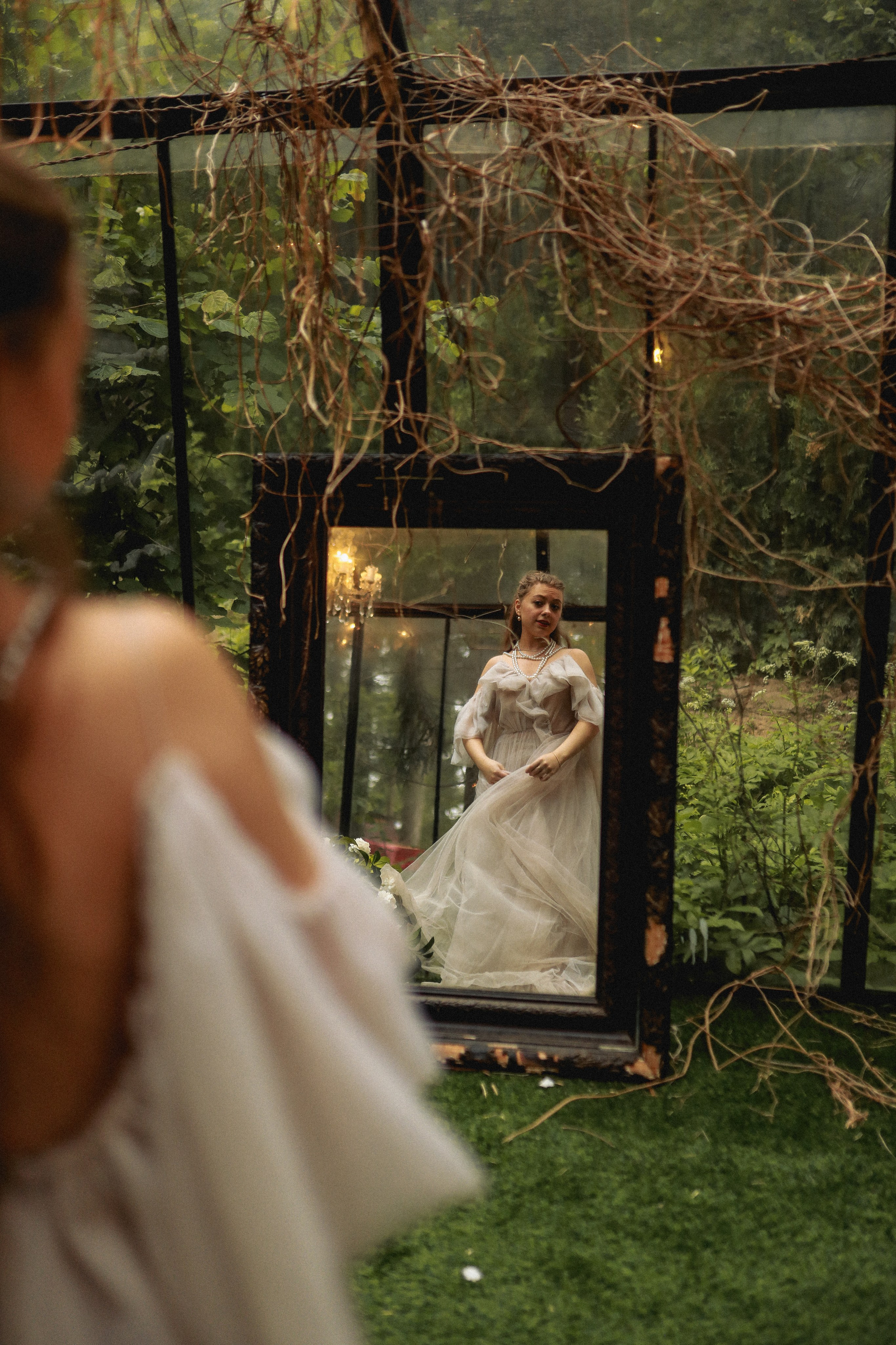 Зачарованный лес