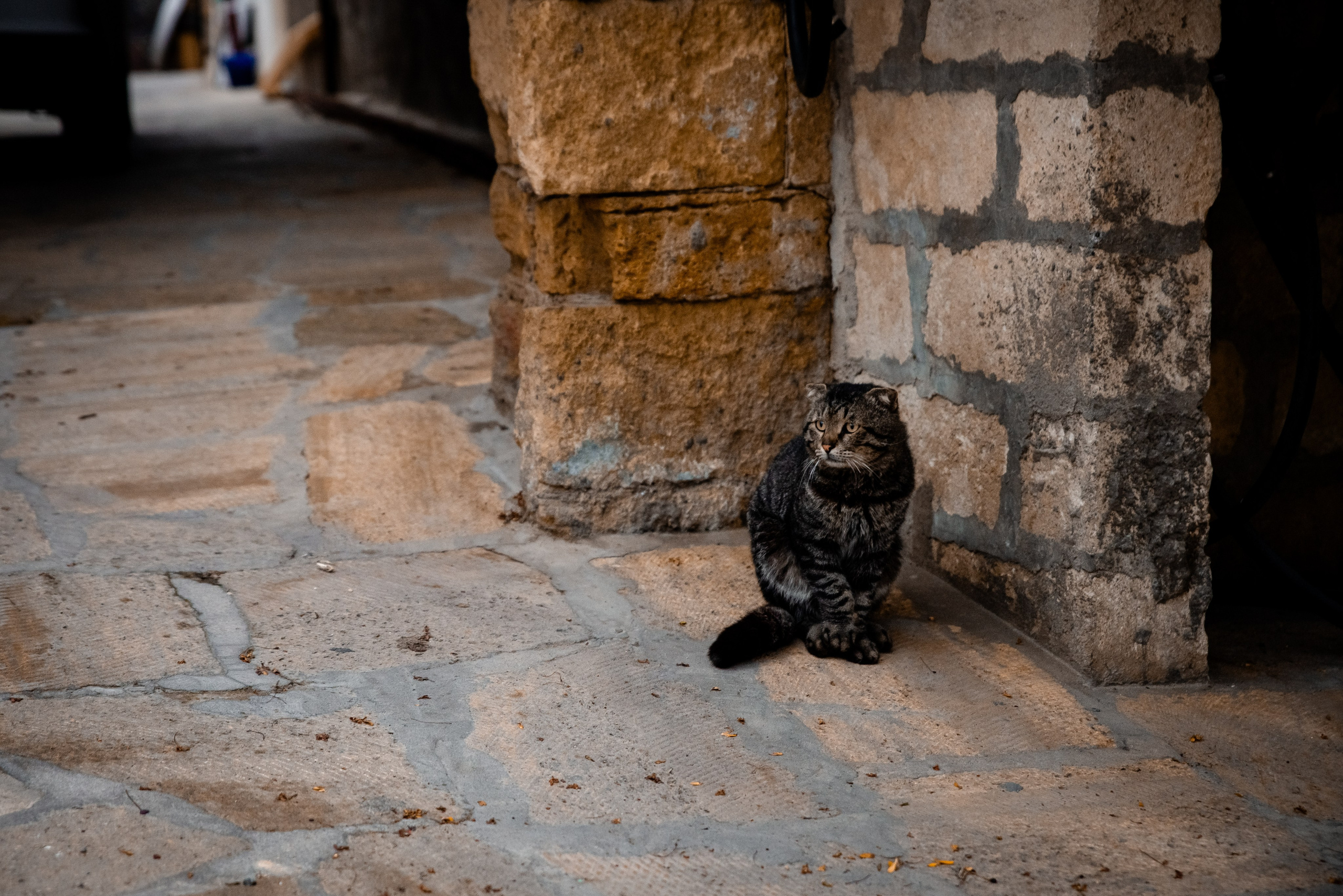 Дагестан. Фотограф Крещение Венчание Москва