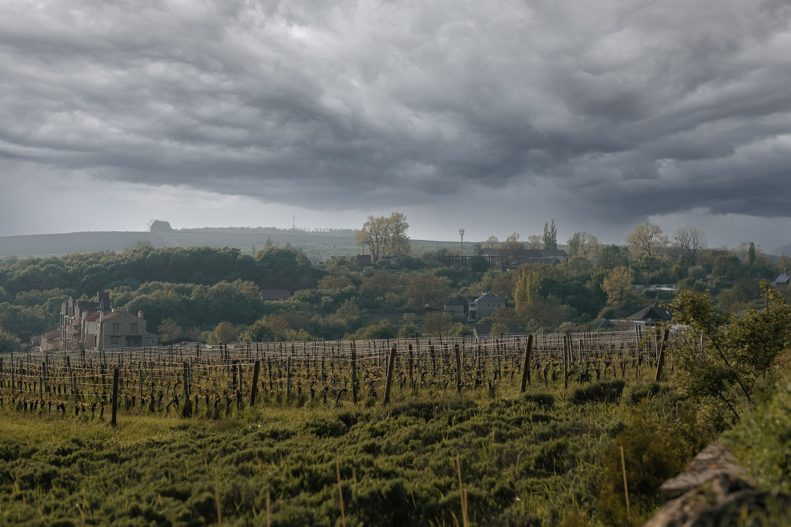 Julia-Sergey. Свадебный фотограф Артем Ковалев