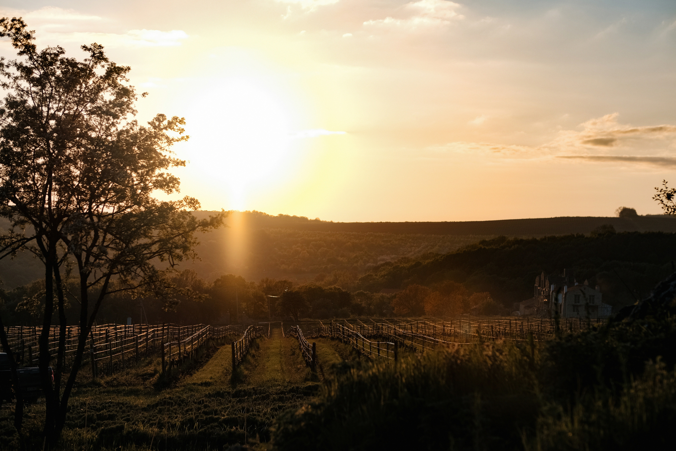 Julia-Sergey. Свадебный фотограф Артем Ковалев