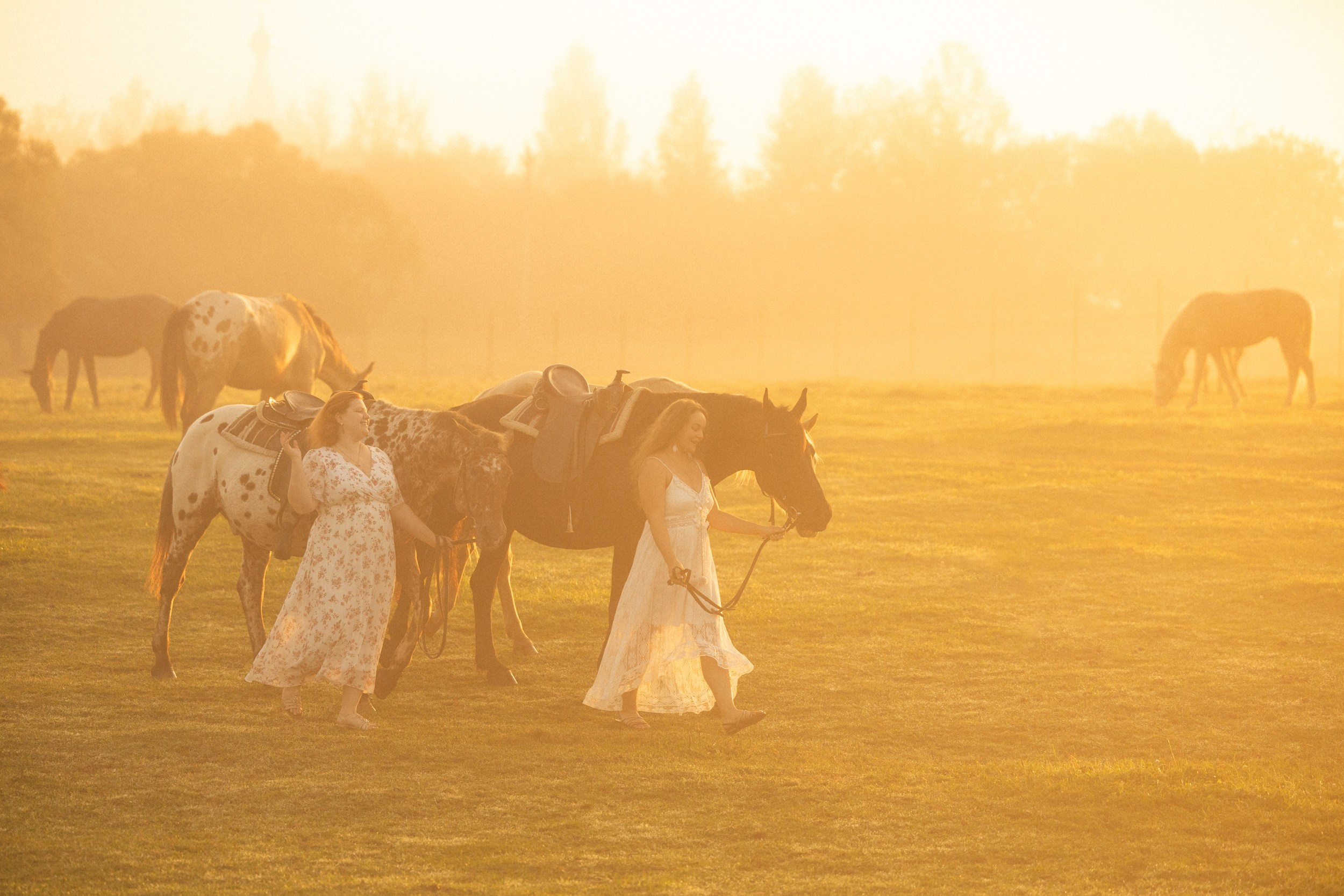 Люди. Фотограф-анималист Юлия Удовенко