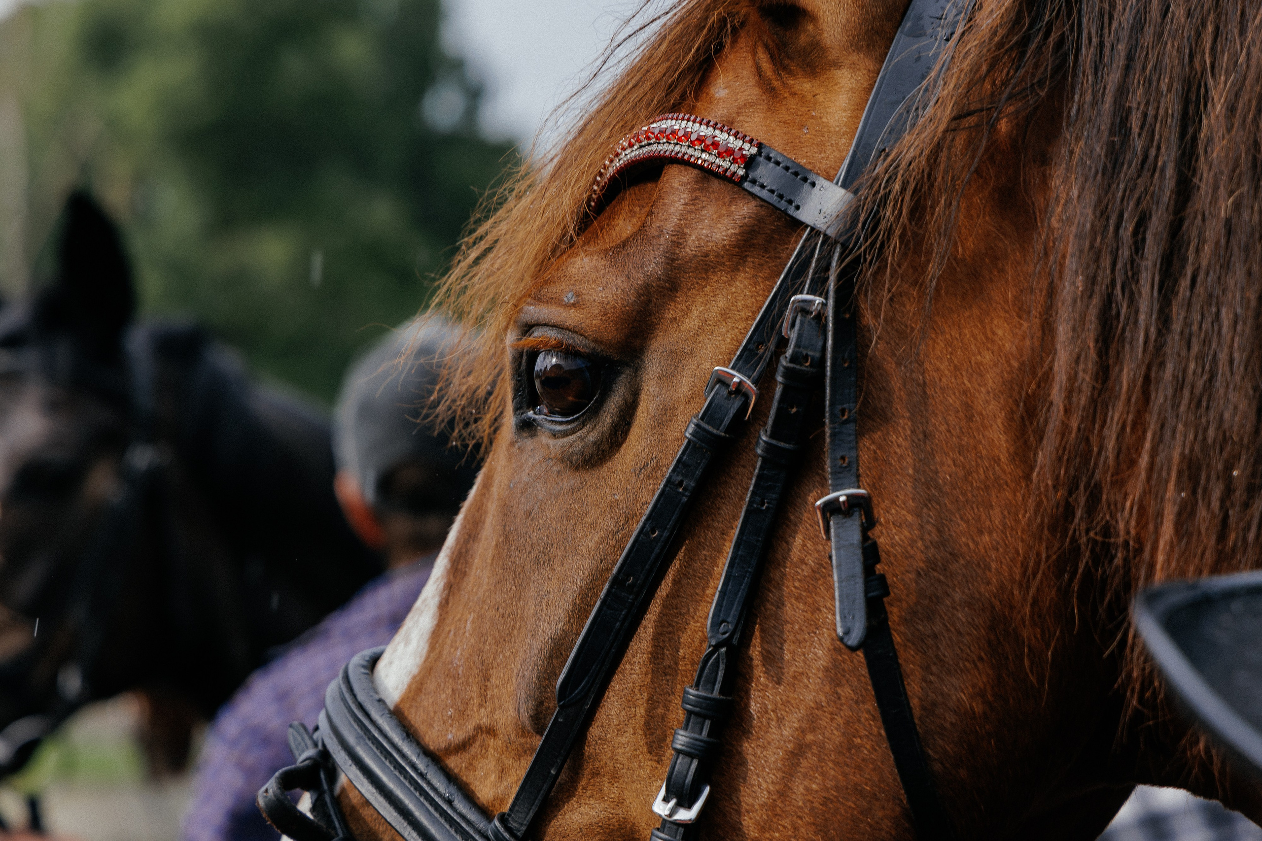 KSK Raid. Фотограф Иван Гуляев