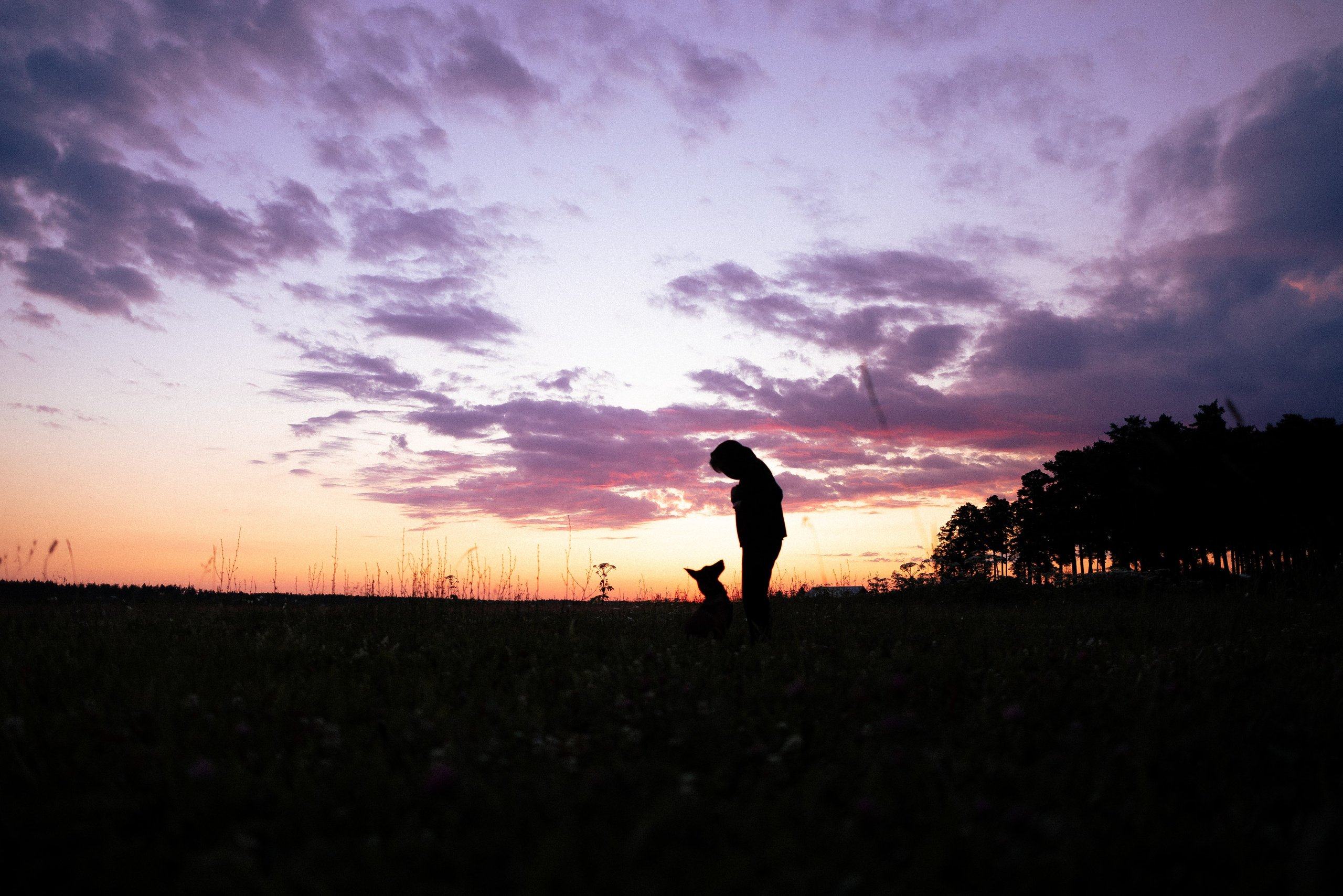 Галина и Лоя. Фотограф и видеограф анималист Аганина Дарья